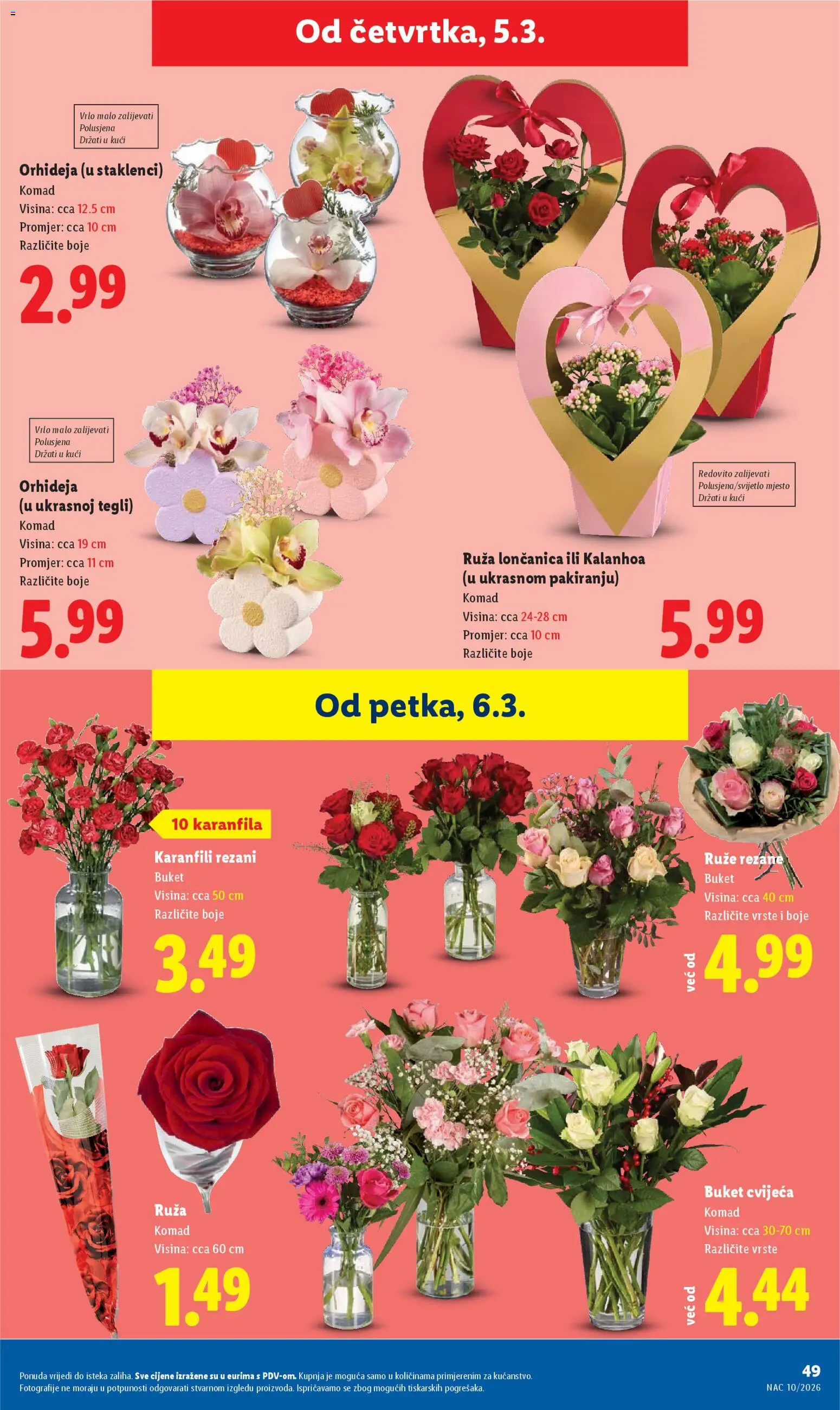 Lidl katalog | vrijedi od 02.03.2026 | Stranica: 49 | Proizvodi: Orhideja