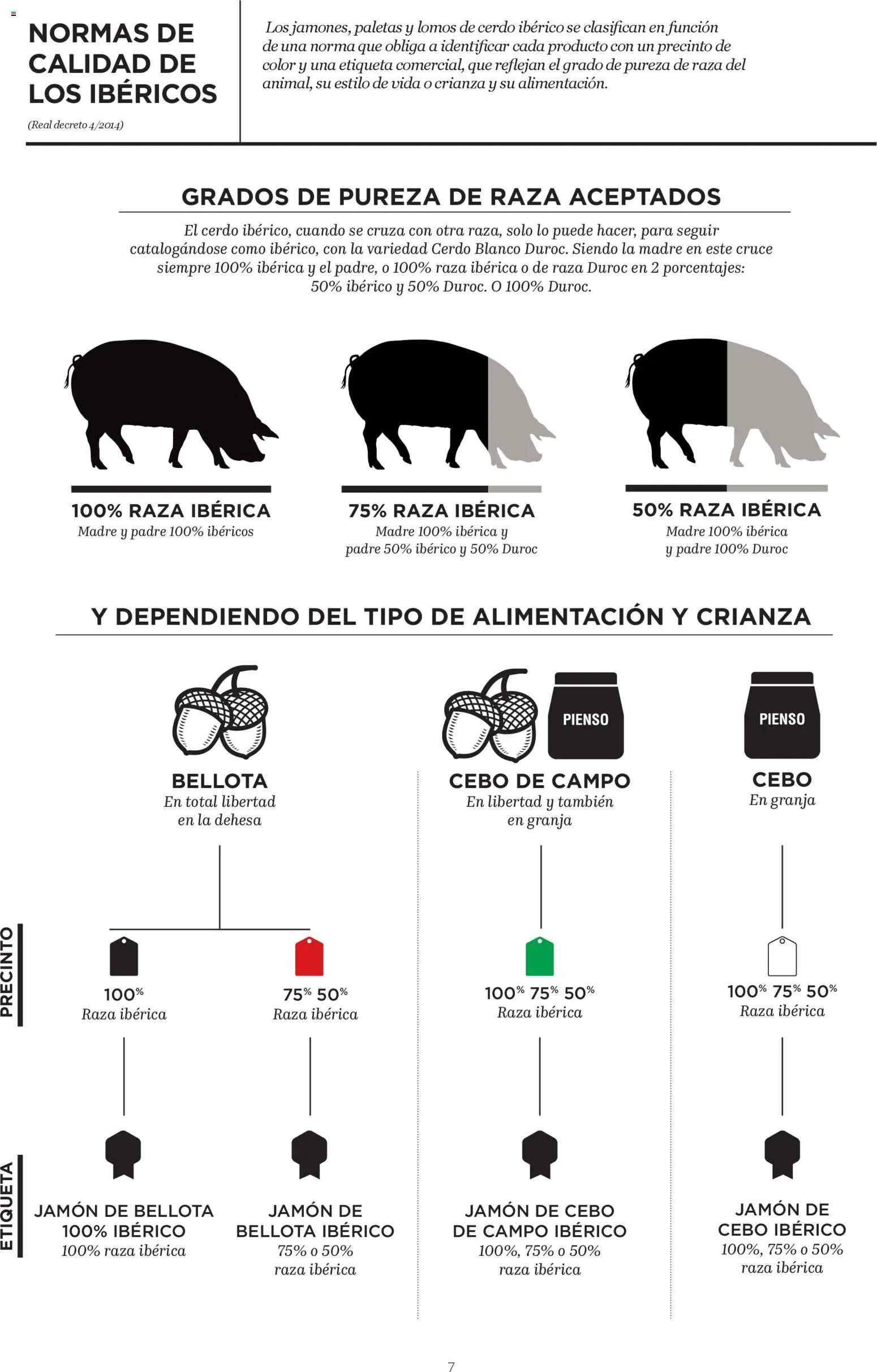 Supercor Canarias │ válido desde el 29.01.2026 | Página: 7 | Productos: Jamón, Cerdo