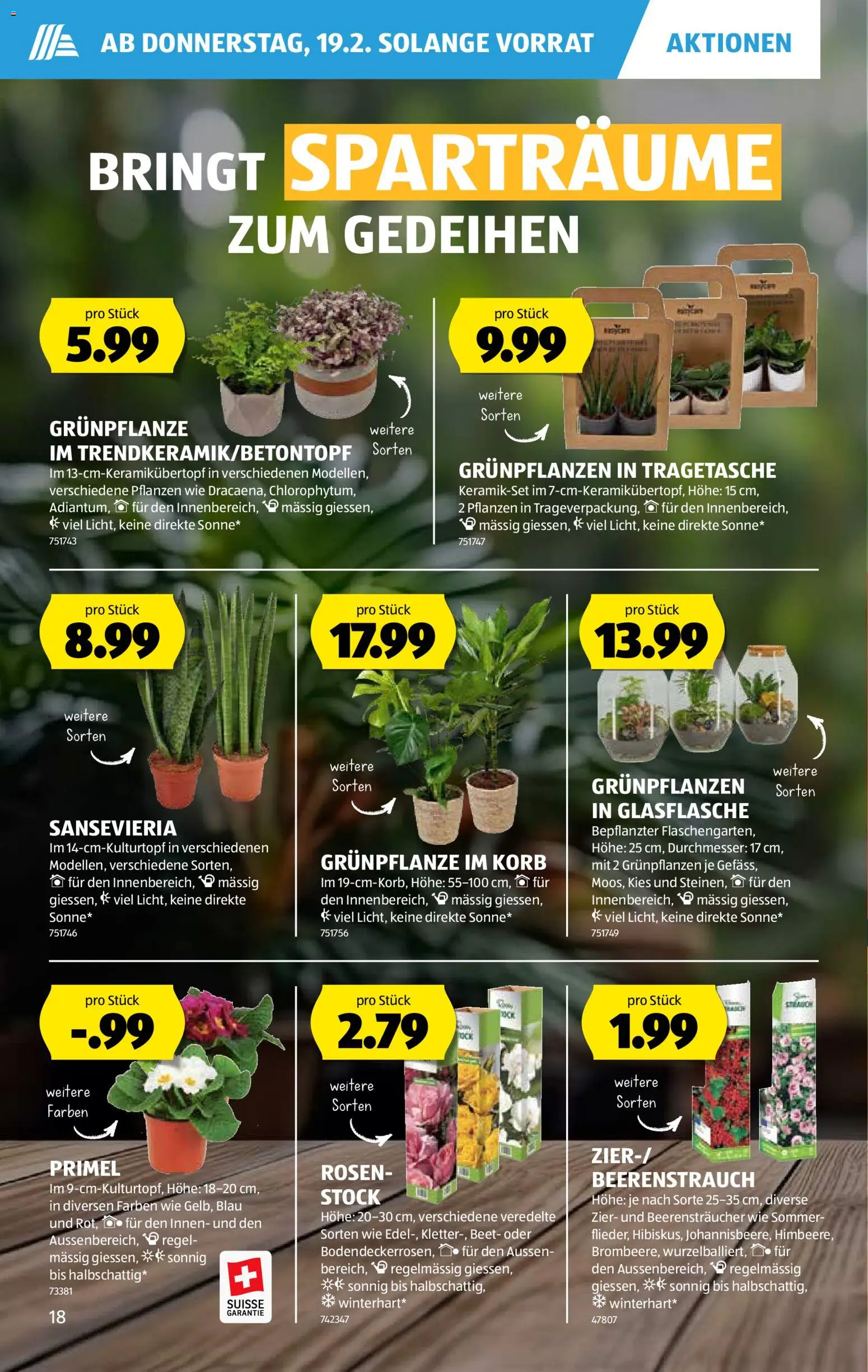 Aldi Aktionen – gültig ab 19.02.2026 | Seite: 19 | Produkte: Korb, Himbeere