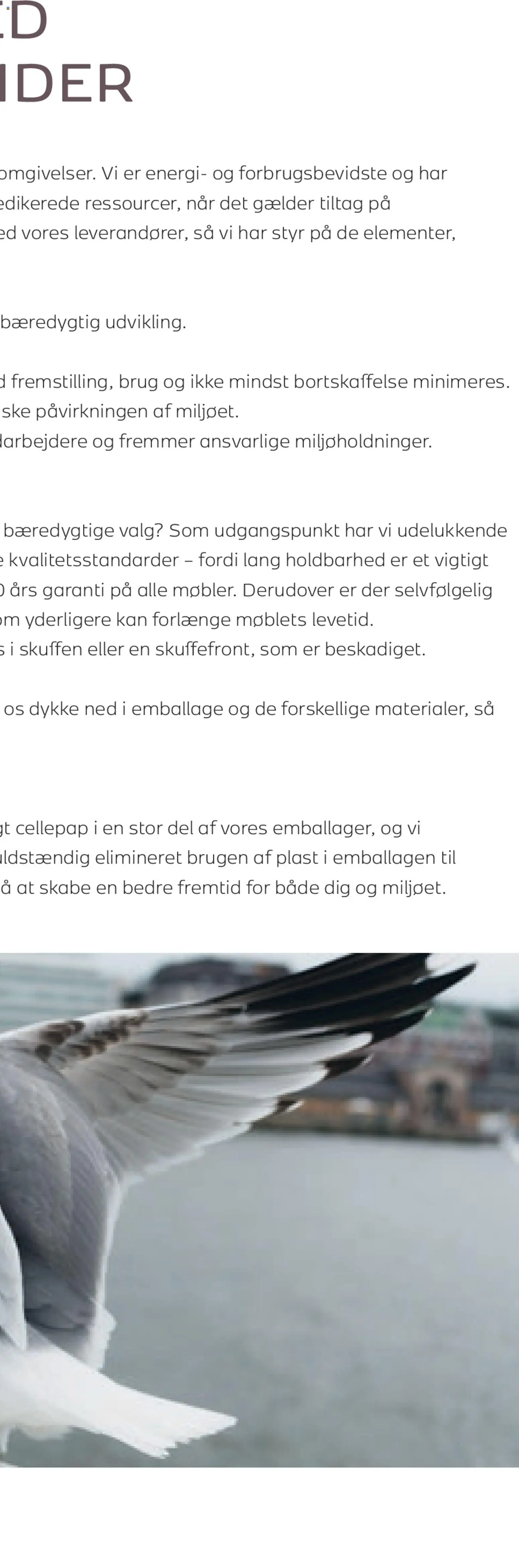 Bauhaus tilbudsavis – gyldig fra 01.01.2026 | Side: 300