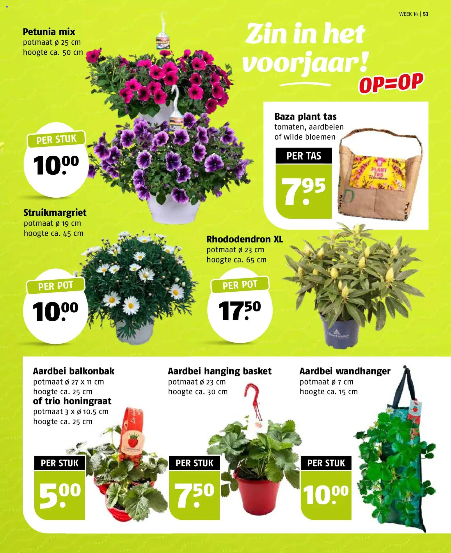 {H1} | Pagina: 53 | Producten: Tas, Pot, Bloemen, Aardbei