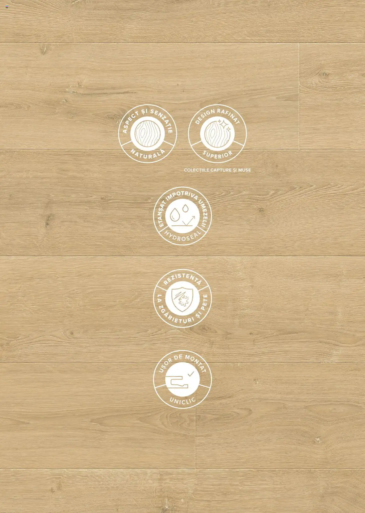 Noul catalog Proges – valabil de la 01.01.2023 | Pagină: 7 | Produse: Mașină de tocat, Mașină De Spălat, Fard de pleoape, Covoraș de baie