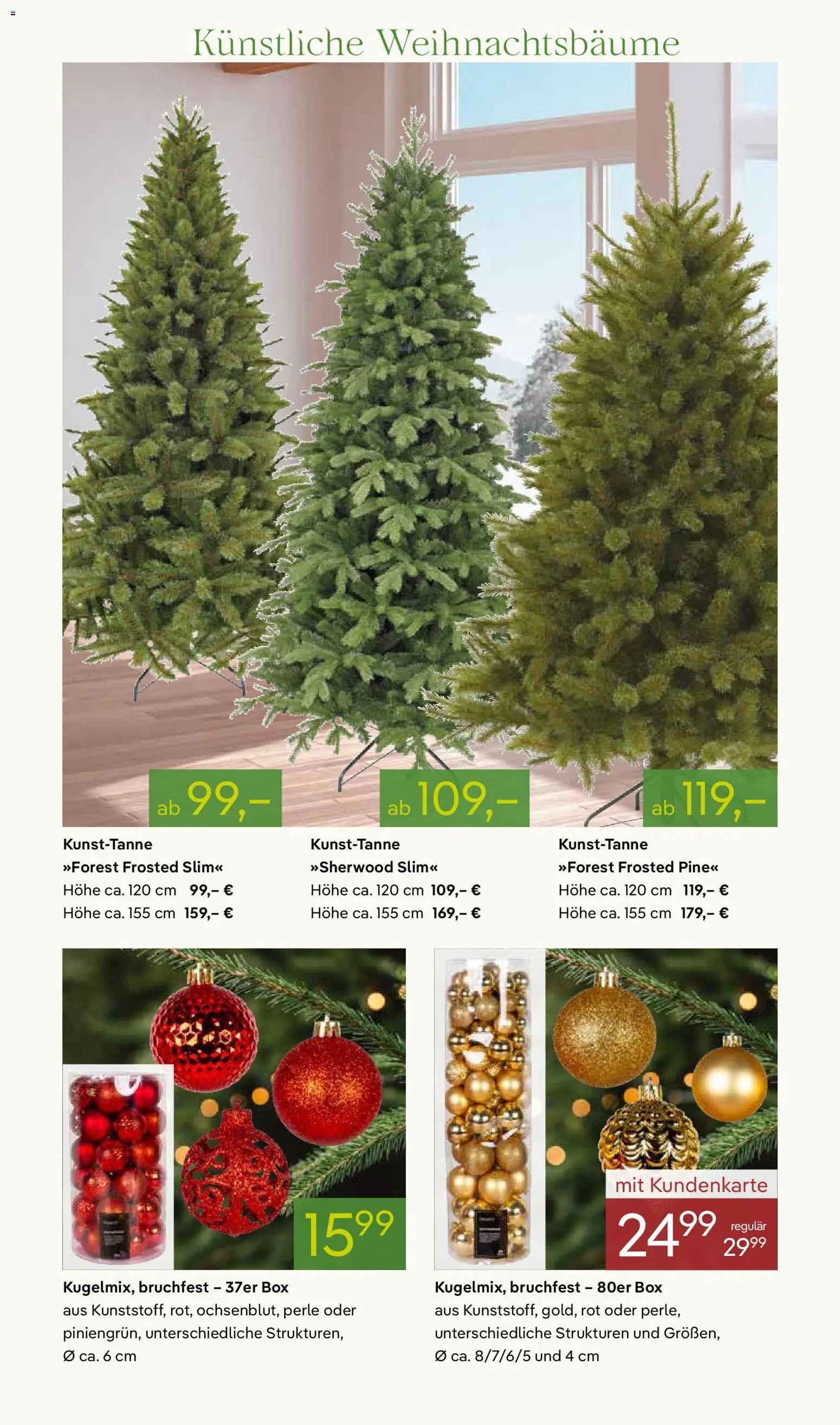 Pflanzen-Kölle Prospekt 	 – gültig ab 24.11.2025 | Seite: 7 | Produkte: Box