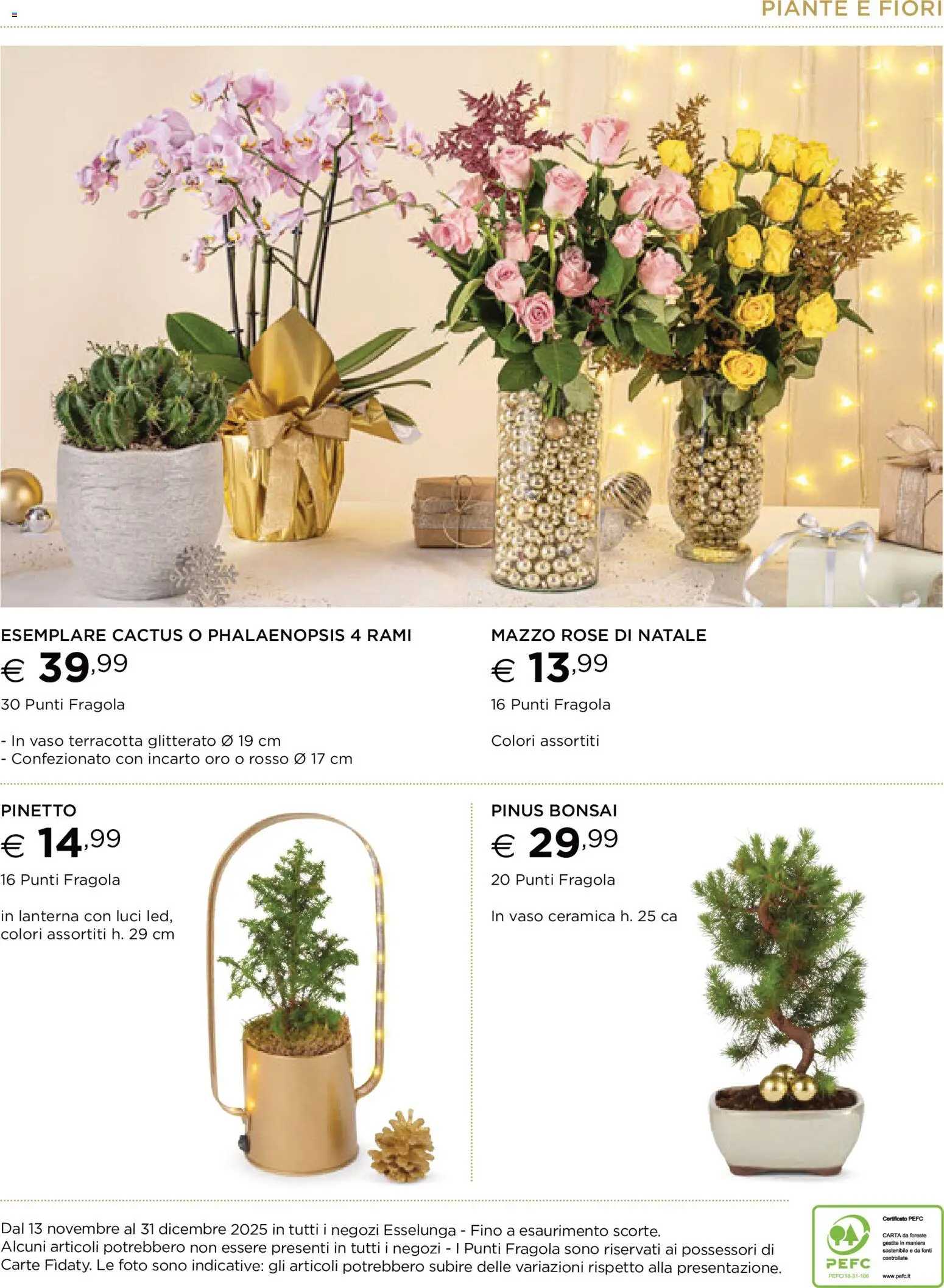 Volantino Esselunga S del 13.11.2025 | Pagina: 39 | Prodotti: Lanterna, Cactus, Vaso