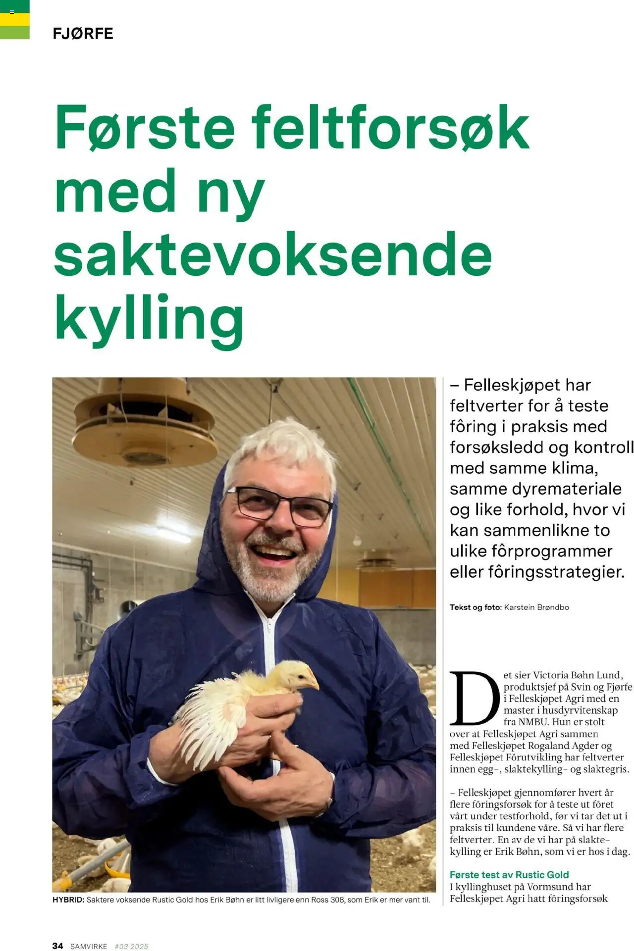  | Side: 34 | Produkter: Kylling, Svin, Hatt