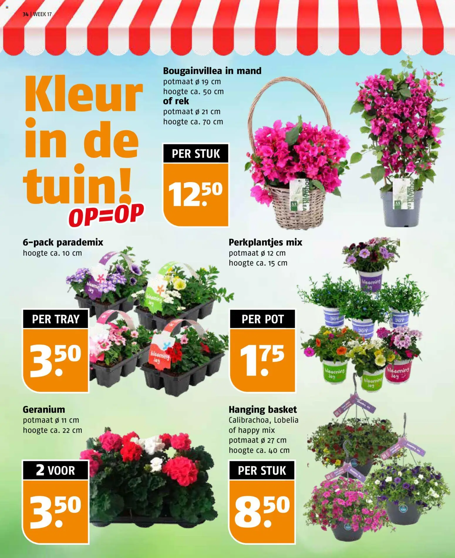 {H1} | Pagina: 34 | Producten: Pot, Mand