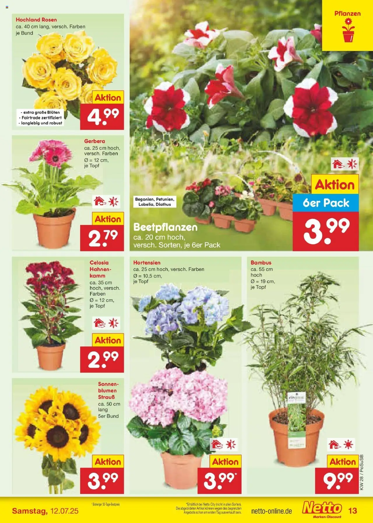 Netto Marken-Discount prospekt Regensburg	 - gültig ab dem 06.07.2025 | Seite: 15 | Produkte: Blumen