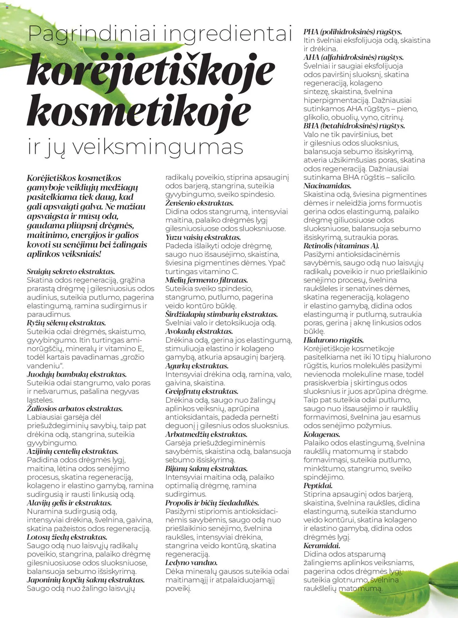 Eurokos akcijos nuo 25.11.2025 | Puslapis: 22