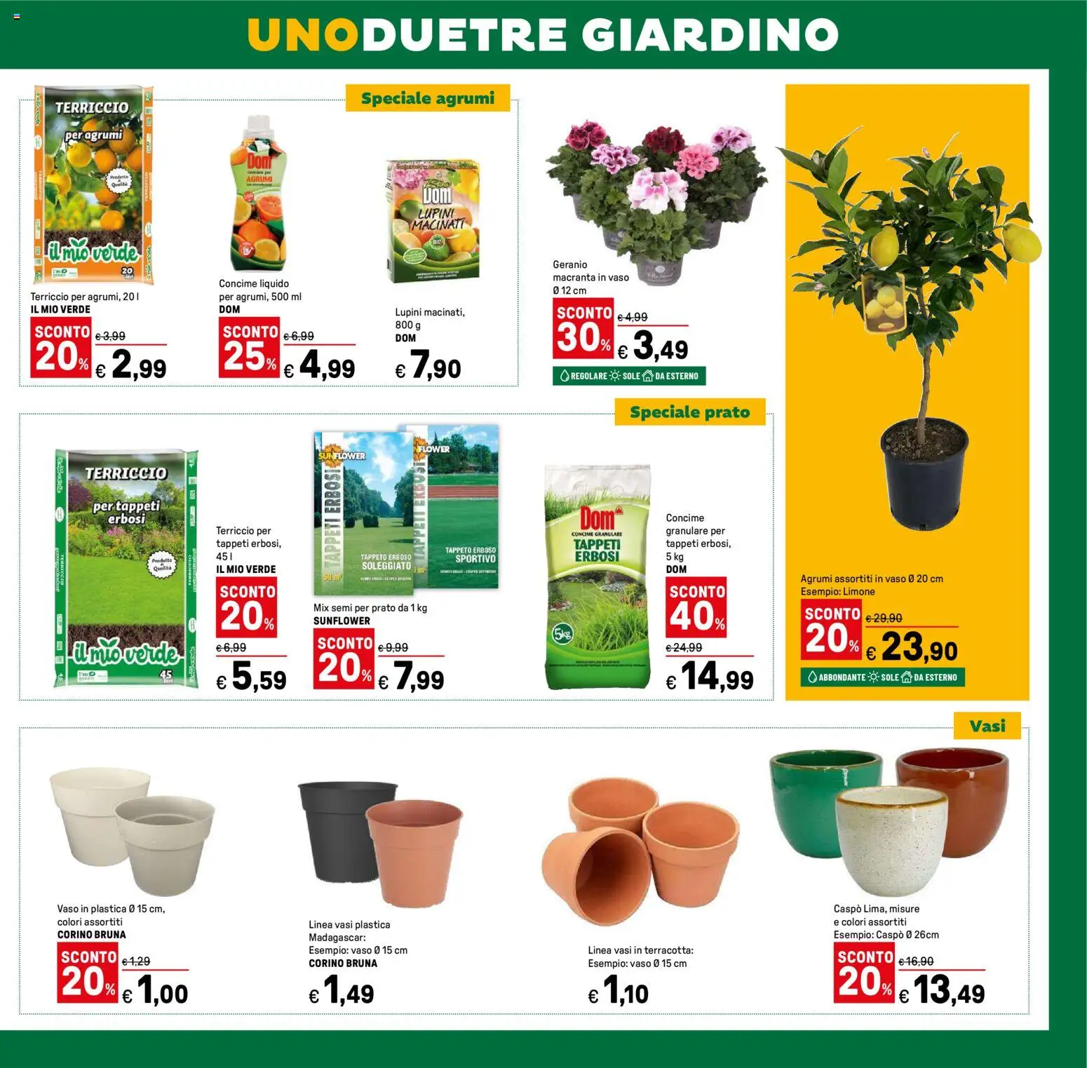 Volantino Iper del 12.02.2026 | Pagina: 37 | Prodotti: Limone, Agrumi, Terriccio, Vaso