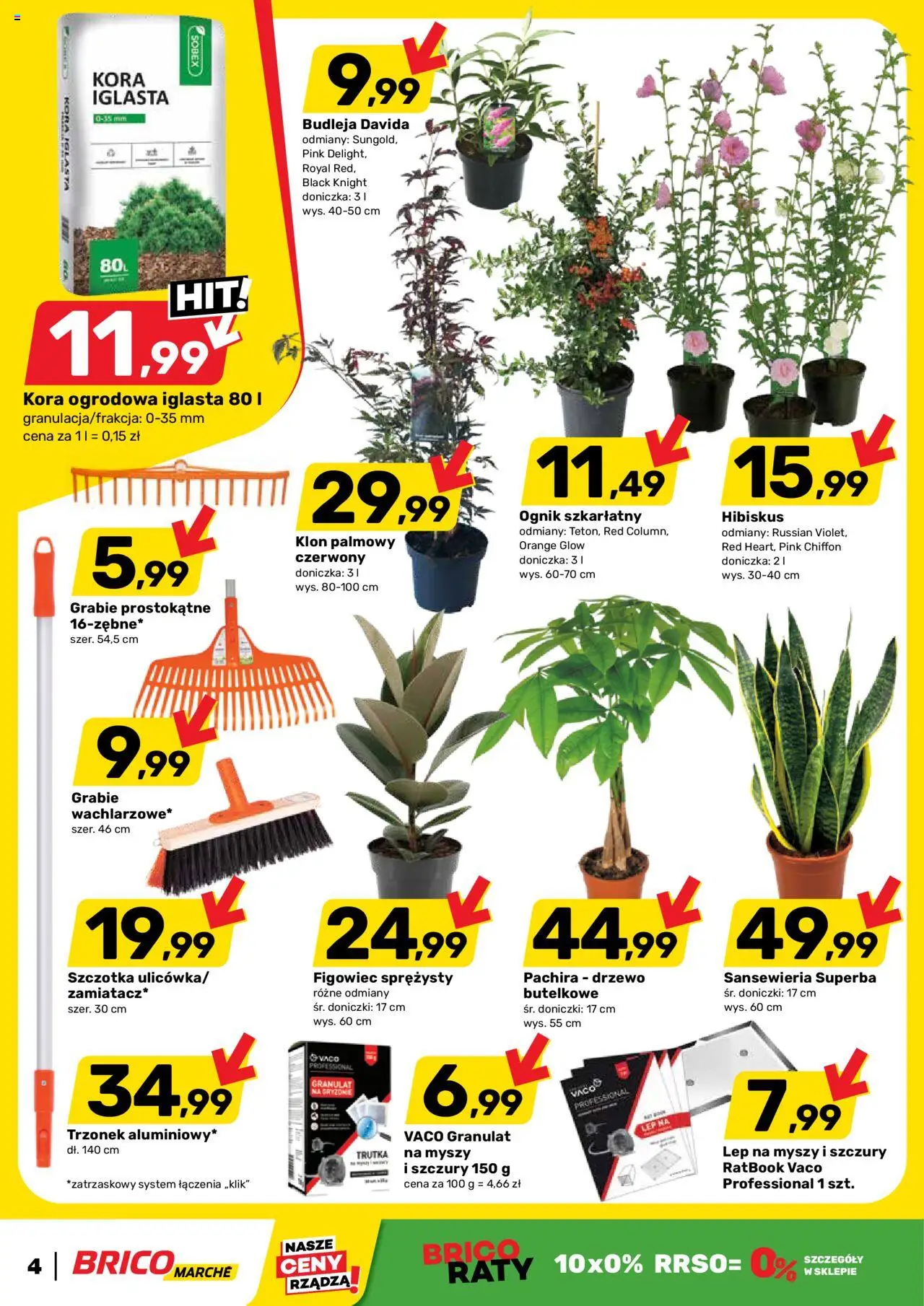 Brico Marché Gazetka od 13.08.2025 | Strona: 5 | Produkty: Klon palmowy, Doniczka, Doniczki, Szczotka
