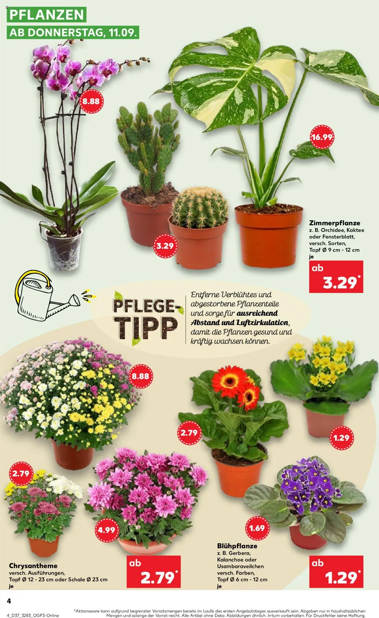 Kaufland prospekt Rostock	 – gültig ab 11.09.2025 | Seite: 4