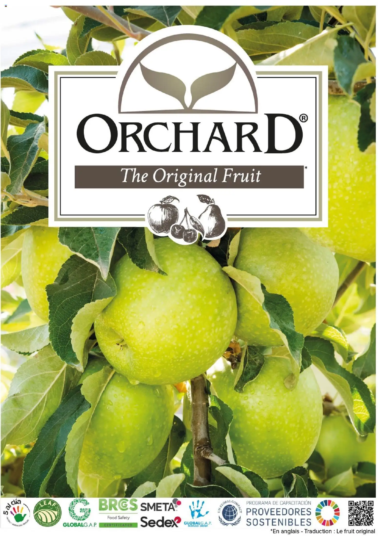 {H1} | Page: 124 | Produits: Thé