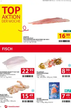 Transgourmet Flugblatt ab 23.03.2026 gültig | Seite: 12 | Produkte: Fisch