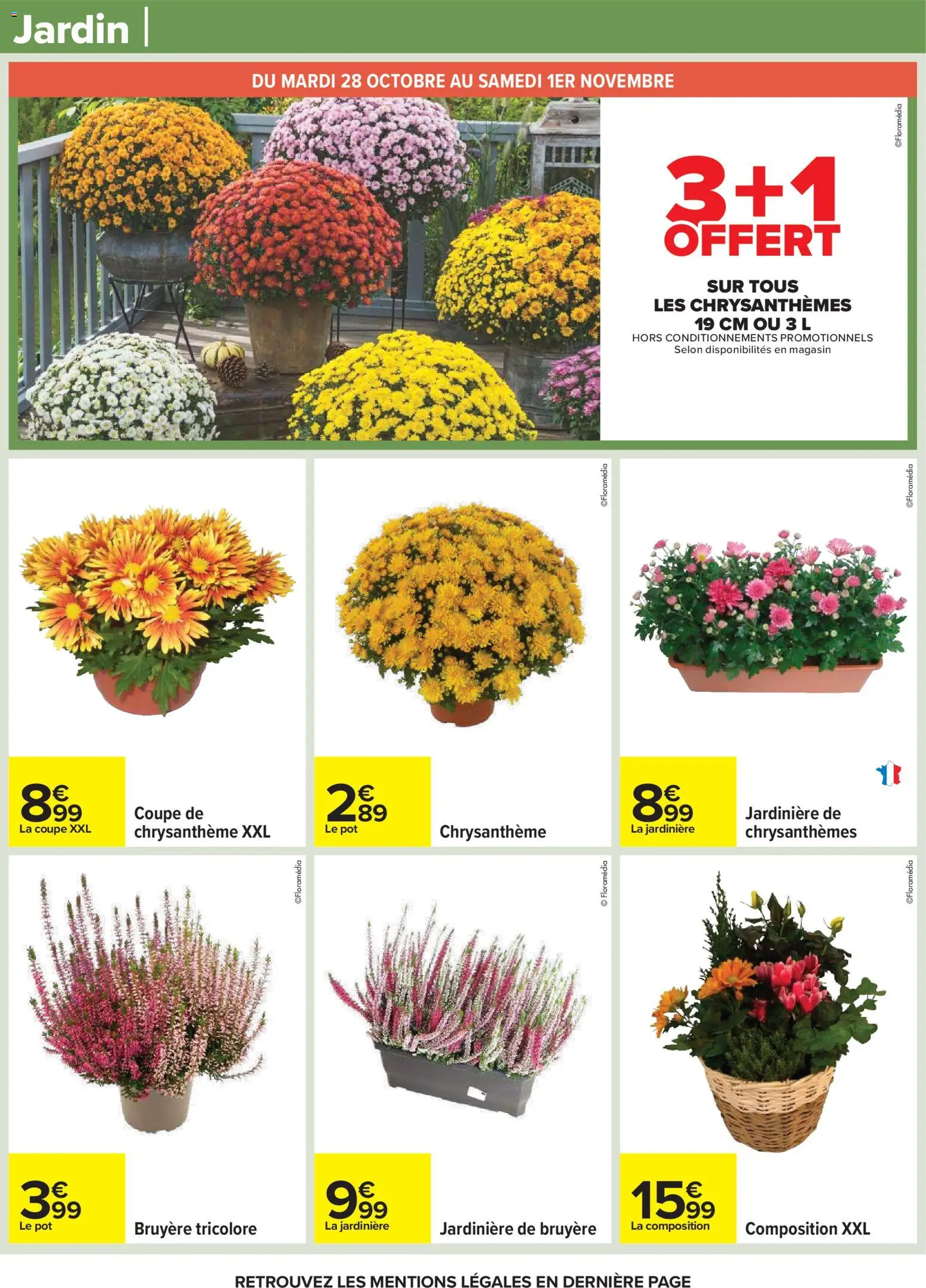 {H1} | Page: 57 | Produits: Jardinière, Chrysanthème