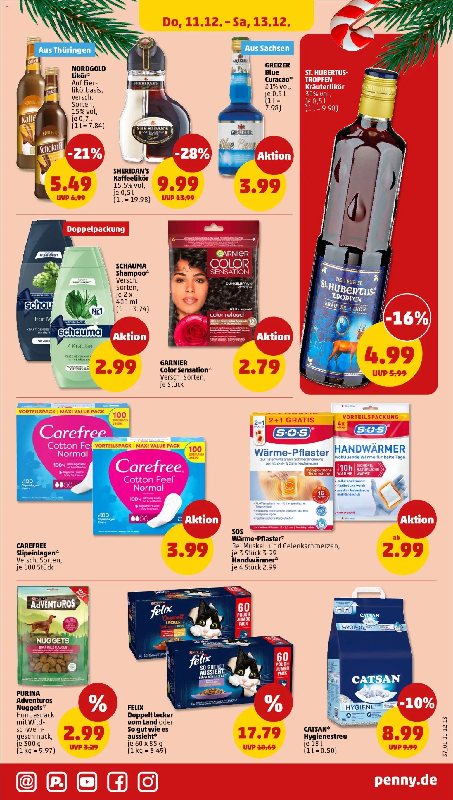 Penny Prospekt 	 – gültig ab 08.12.2025 | Seite: 41 | Produkte: Catsan, Eier, Shampoo