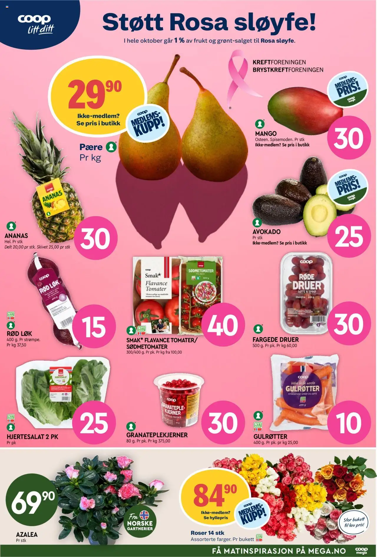 {H1} | Side: 7 | Produkter: Медіапрогравач, Avokado, Løk, Granateple