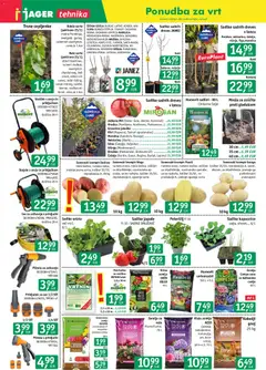 Jager katalog akcije – veljaven od 18.03.2026 | Stran: 6 | Izdelki: Nektarina, Jagode, Solata, Voziček