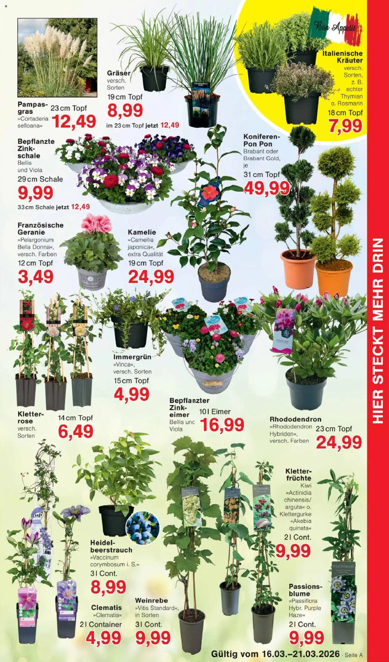 Jawoll Prospekt 	 – gültig ab 16.03.2026 | Seite: 7