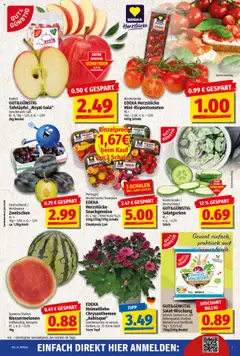NP Discount Prospekt 	 - gültig ab dem 18.08.2025 | Seite: 3 | Produkte: Korb, Äpfel, Mohren, Eissalat