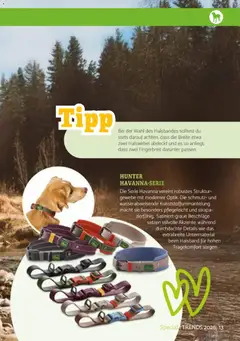 zookauf  Heimtier Journal Special ab 01.04.2026 gültig | Seite: 13