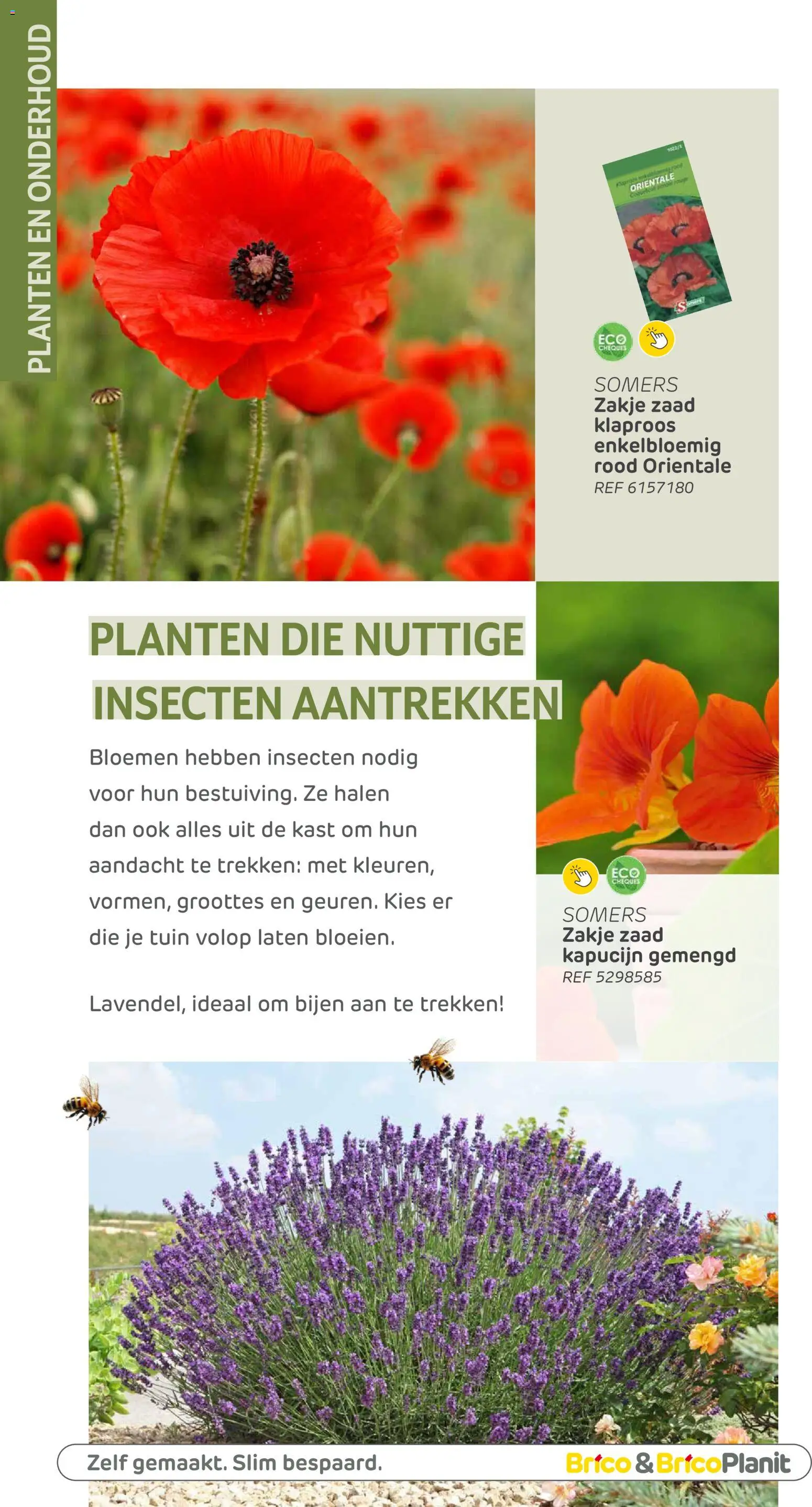 {H1} | Pagina: 104 | Producten: Bloemen, Kast