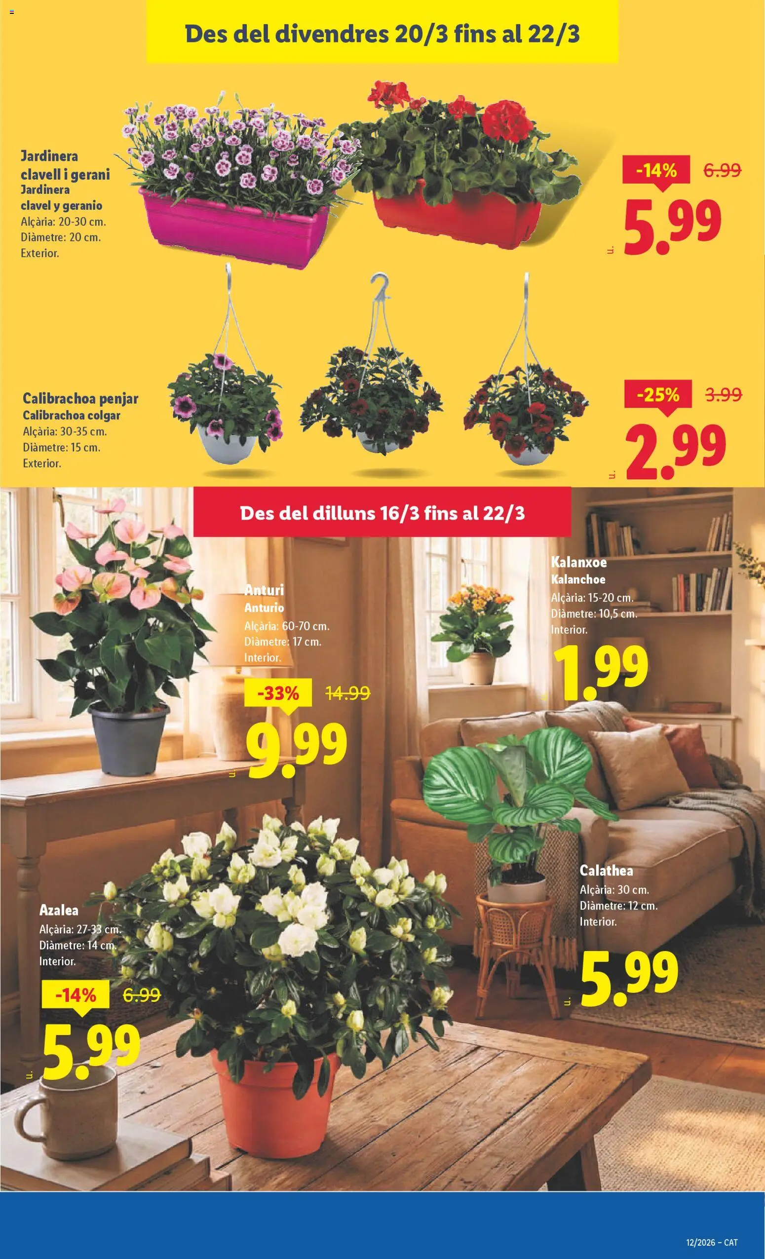 Lidl folleto │ válido desde el 16.03.2026 | Página: 45 | Productos: Jardinera