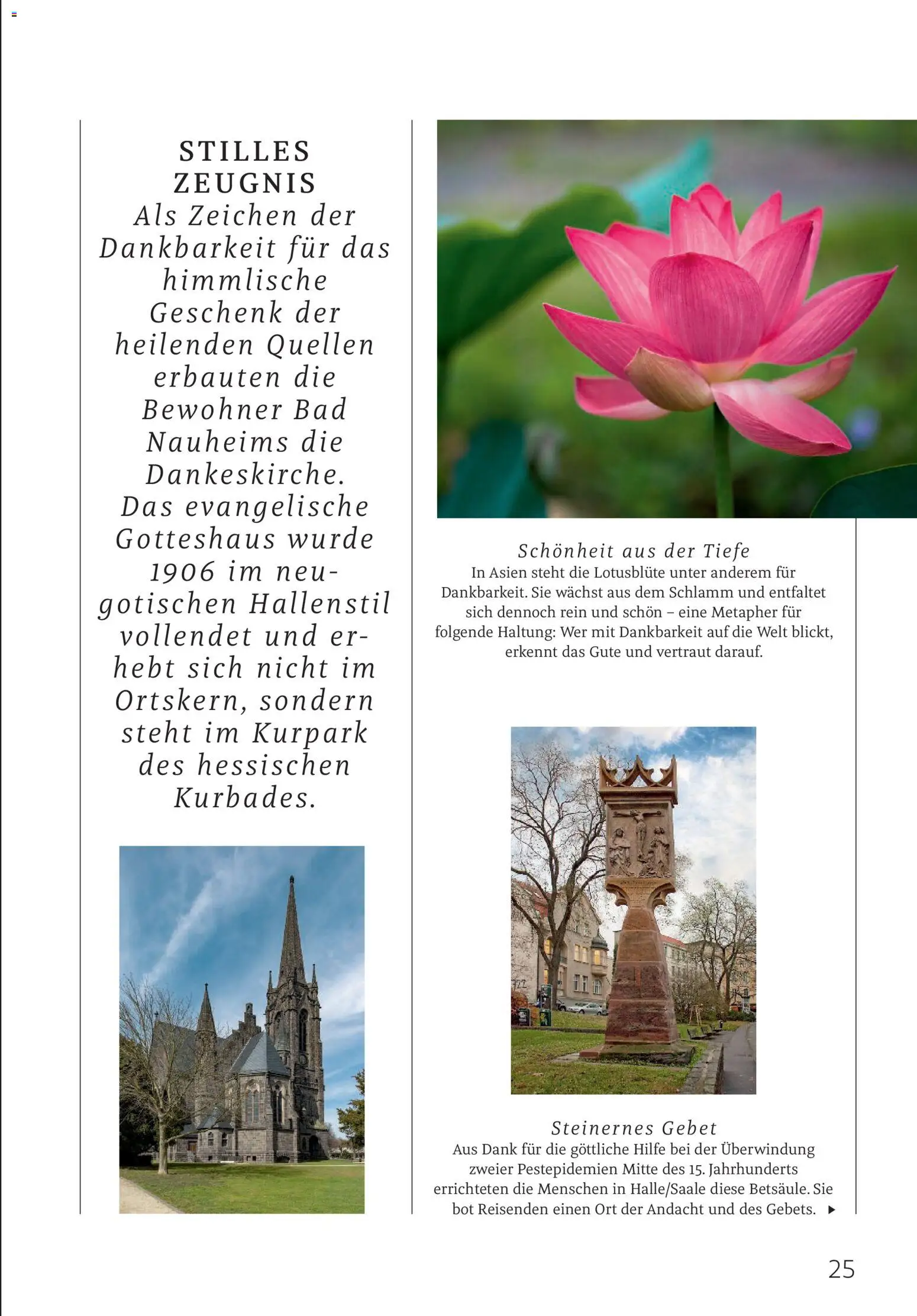 Rossmann Centaur – gültig ab 01.12.2025 | Seite: 25