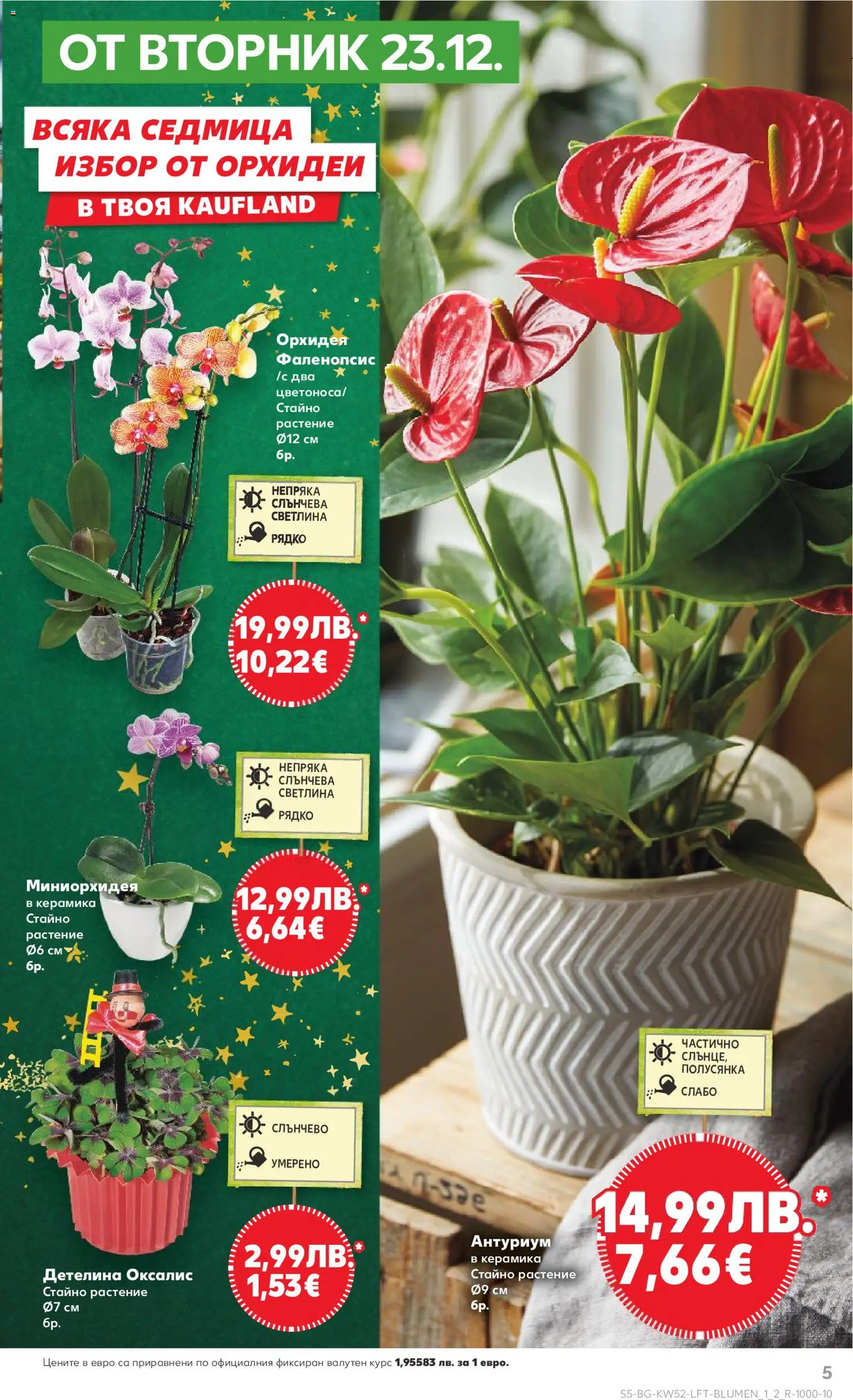 {H1} | Страница: 5 | Продукти: Орхидея