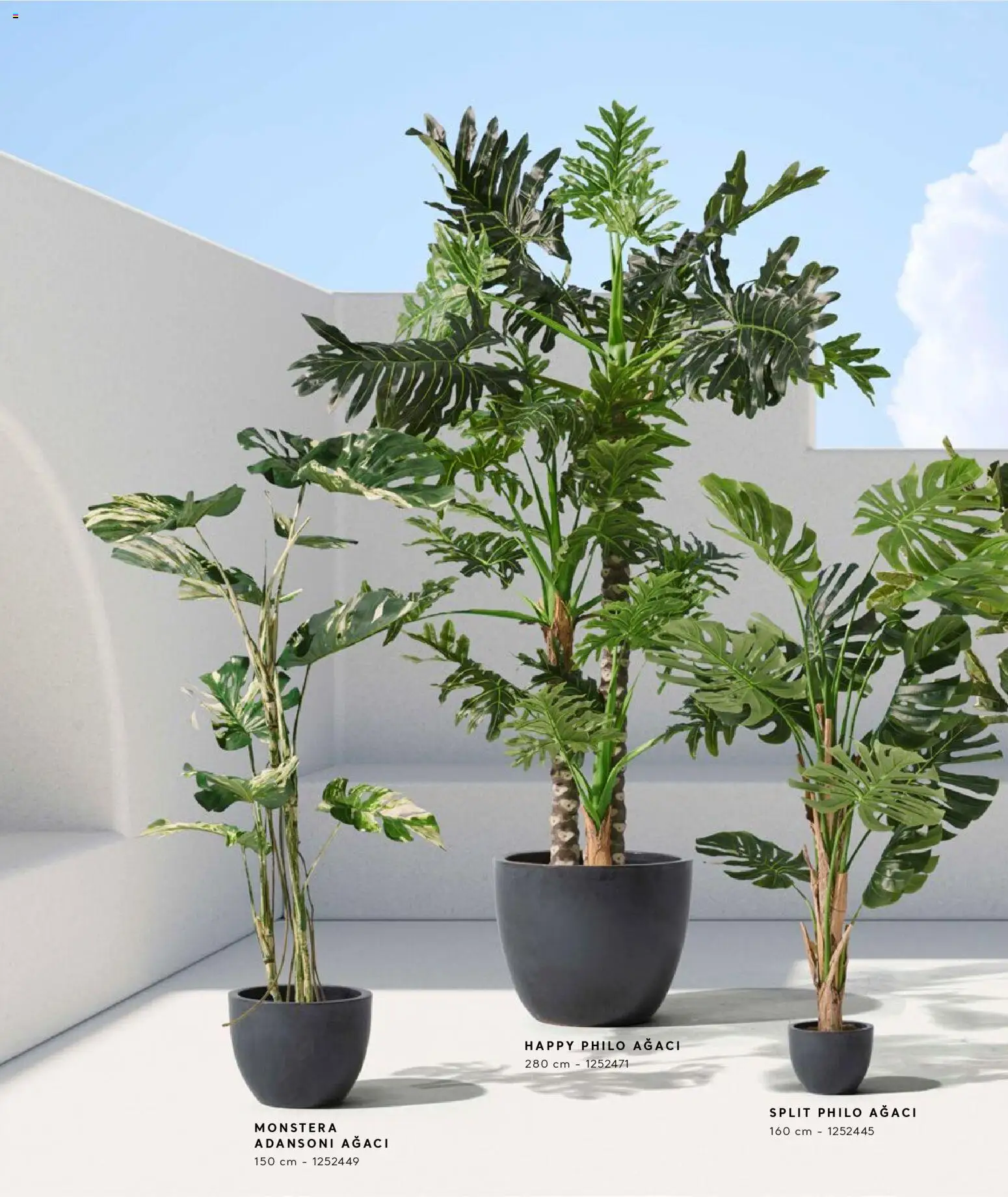 Mudo - Katalog  Ağaç 2026 - 01.01.2026 tarihinden itibaren geçerlidir | Sayfa: 10