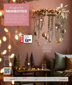 Intratuin - Folder - Voorbeeld van een folder van Intratuin, geldig van 24.11.2025 | Pagina: 8 | Producten: Appel