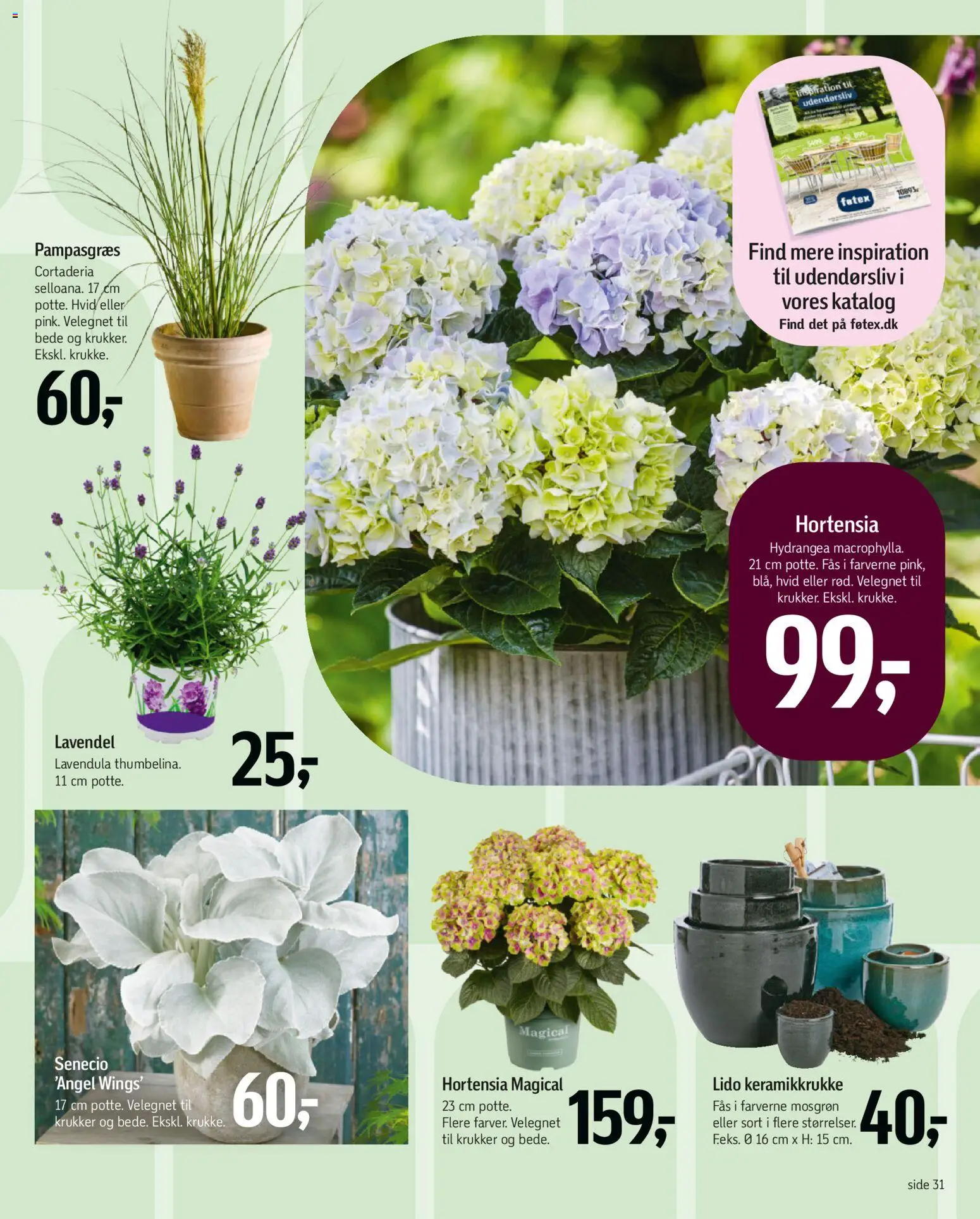 Føtex tilbudsavis – gyldig fra 17.04.2026 | Side: 49