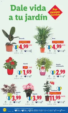 Lidl folleto │ válido desde el 28.07.2025 | Página: 30