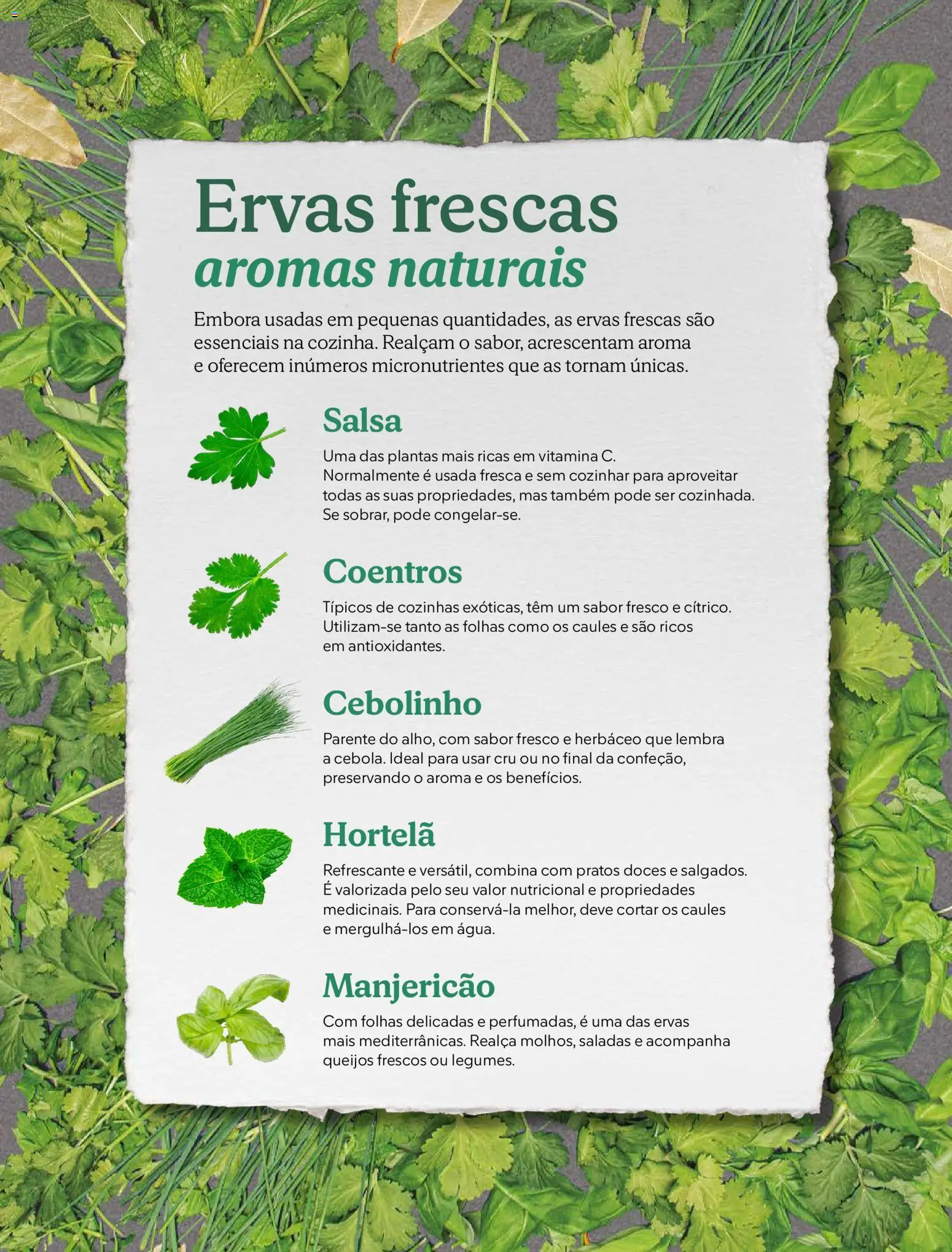 Mercadona folheto │ válido de 02.12.2025 | Página: 20 | Produtos: Pratos, Hortelã, Saladas, Doces