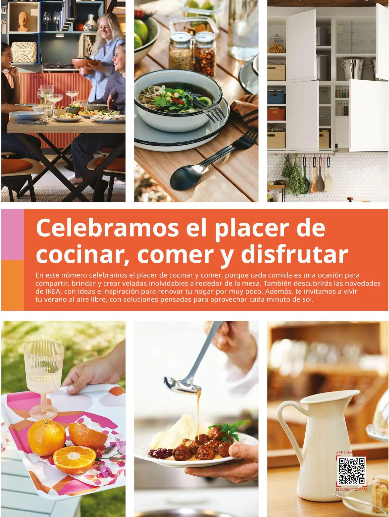 Catálogo IKEA Family │ válido desde el 01.04.2026 | Página: 5 | Productos: Té
