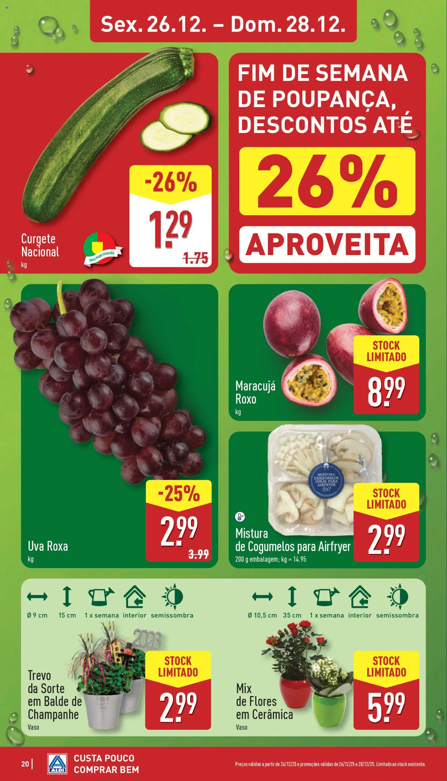 Aldi folheto │ válido de 22.12.2025 | Página: 20 | Produtos: Balde, Flores, Vaso, Cogumelos