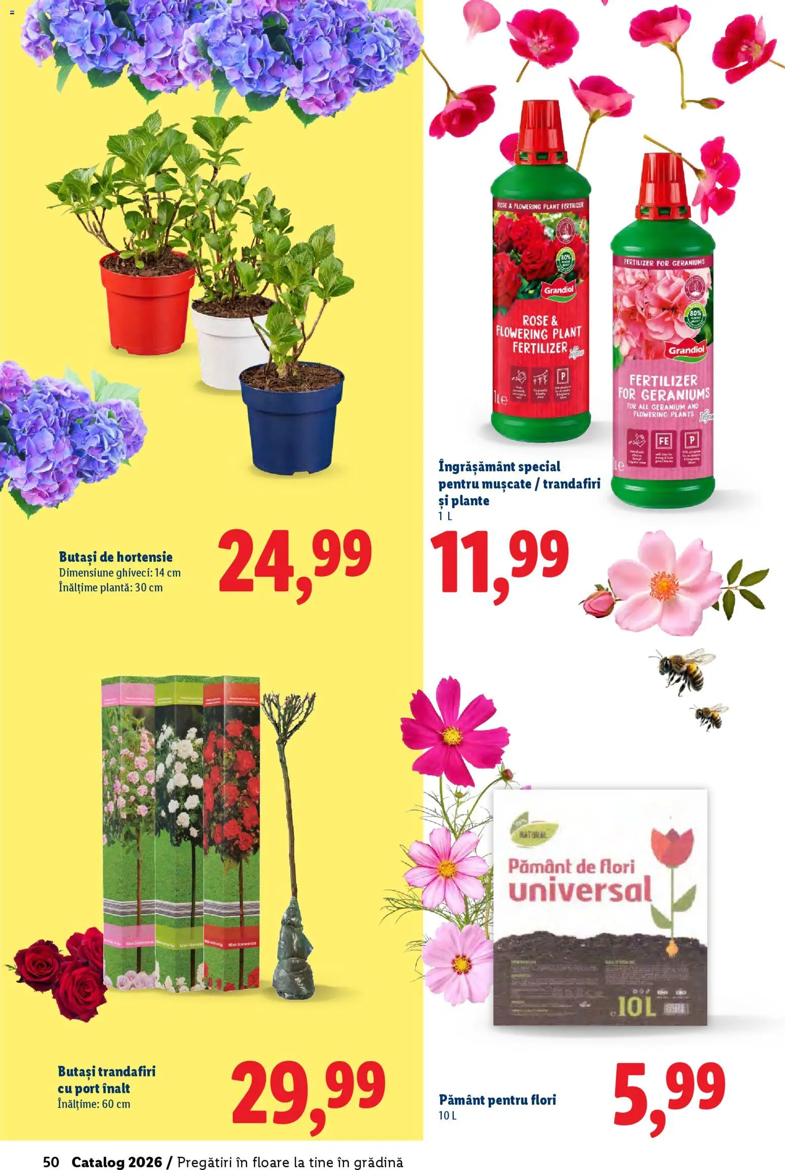 Noul catalog Lidl – valabil de la 19.02.2026 | Pagină: 50 | Produse: Pământ pentru flori, Ghiveci
