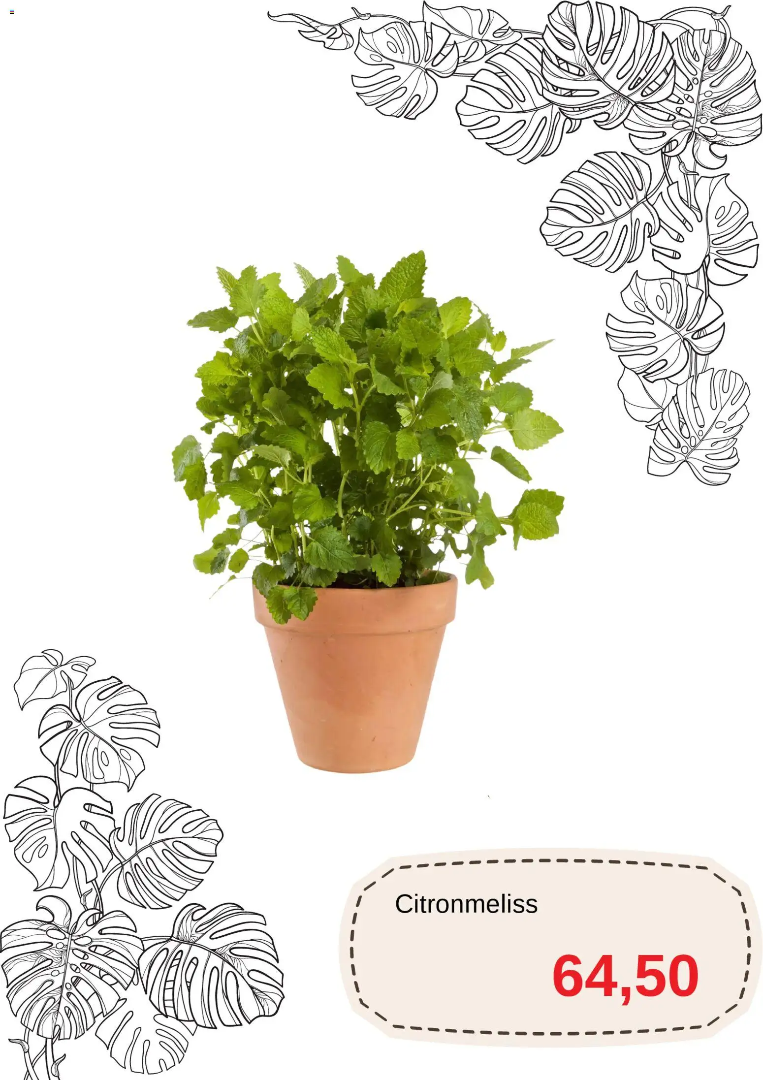 Blomsterlandet reklamblad aktuell från 20.04.2026 | Sida: 8