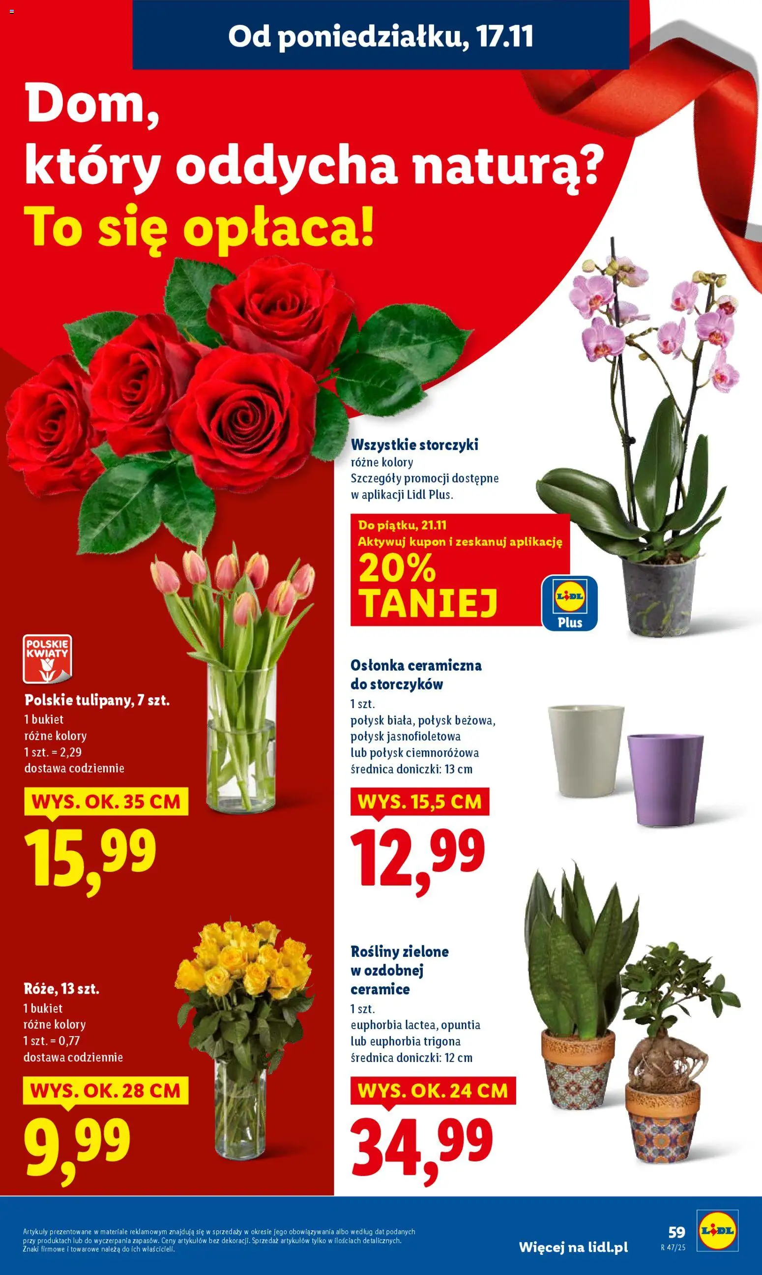 Lidl Gazetka od 17.11.2025 | Strona: 59