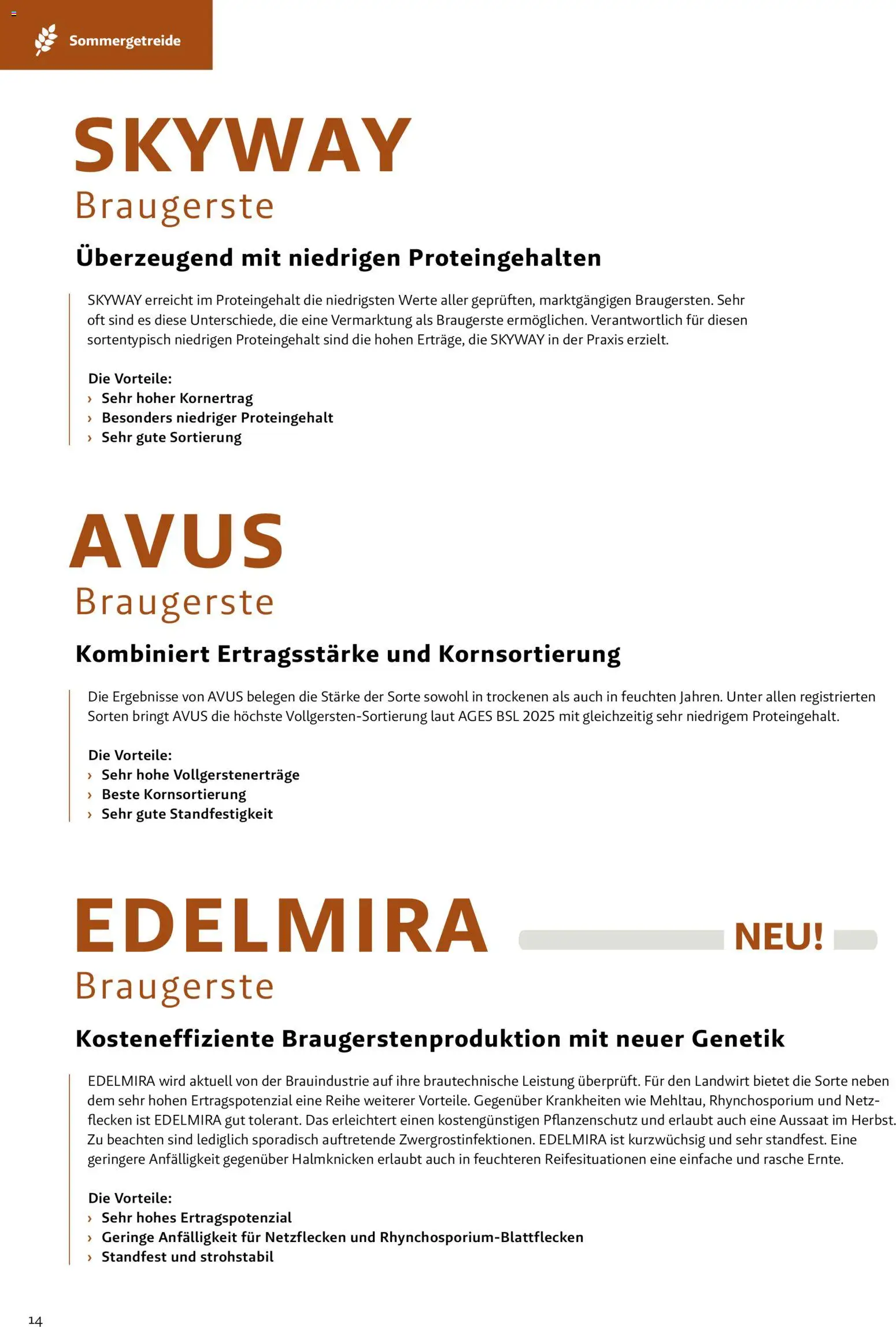 Lagerhaus - Frühjahr 2026 Östliches  Niederösterreich gültig ab 01.03.2026 | Seite: 14