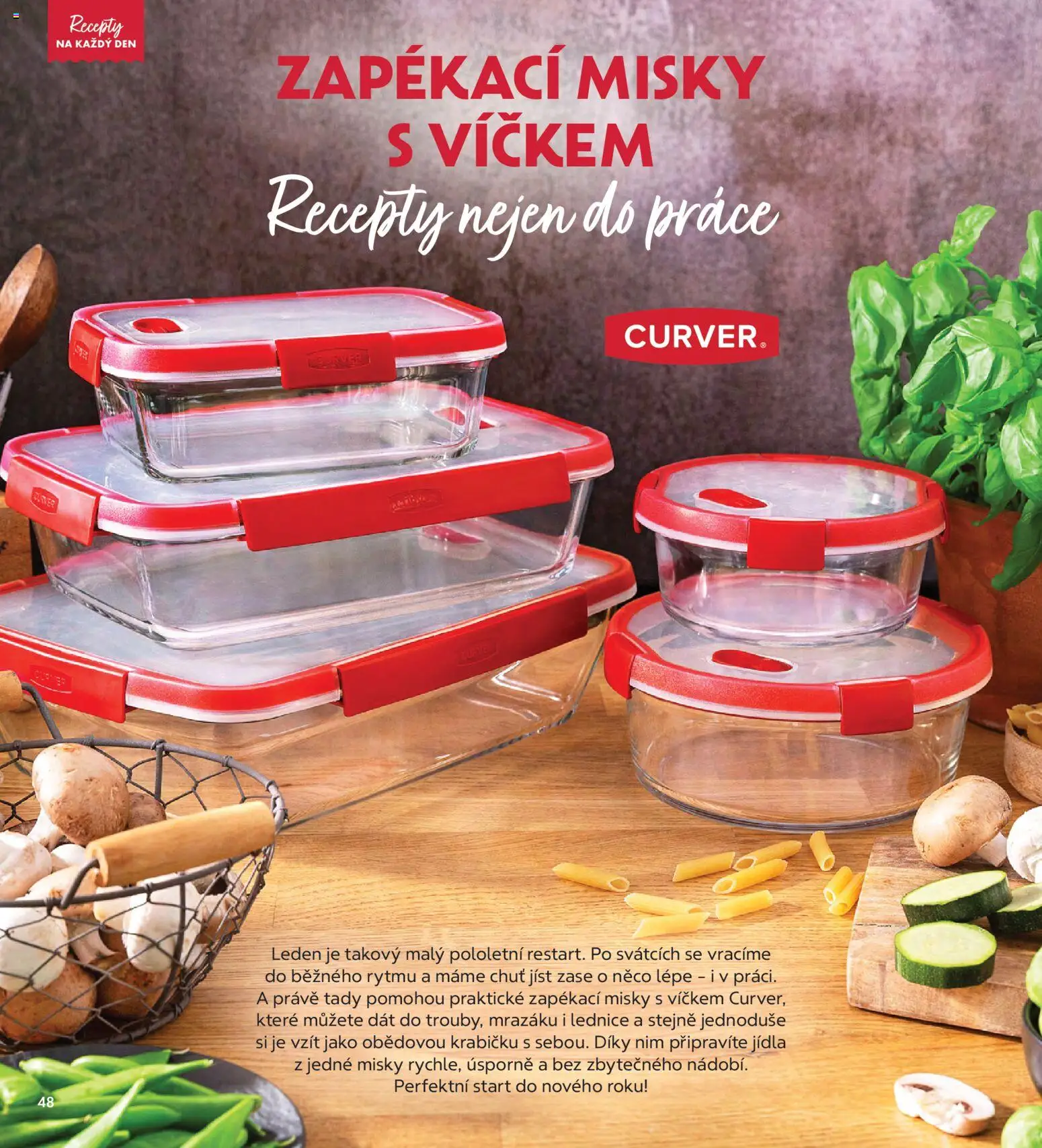 Albert magazín od 01.01.2026 | Strana: 48 | Produkty: Zapékací misky, Lednice