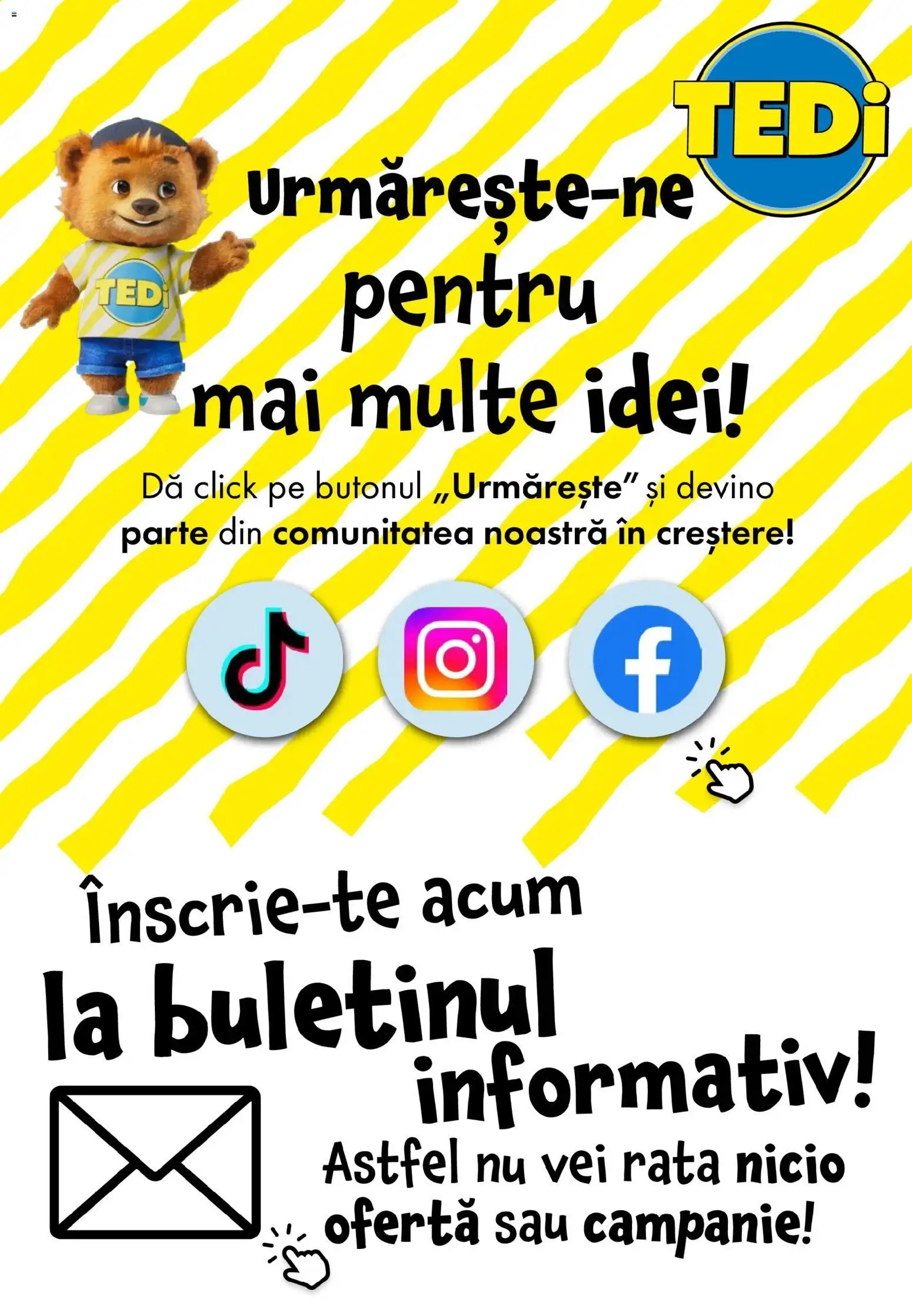 Noul catalog TEDi – valabil de la 29.01.2026 | Pagină: 12 | Produse: Rață