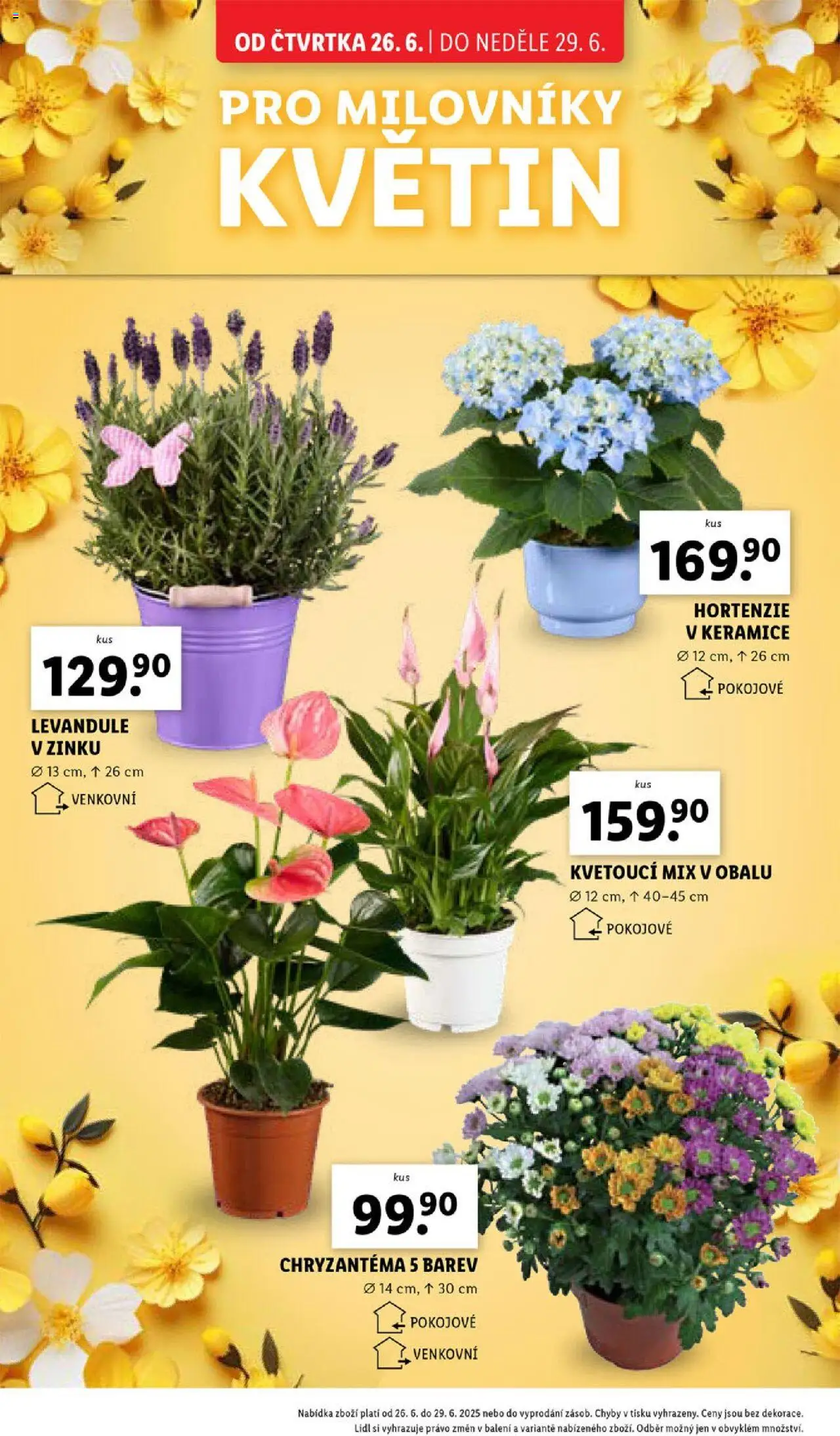 Lidl leták od 26.06.2025 | Strana: 30