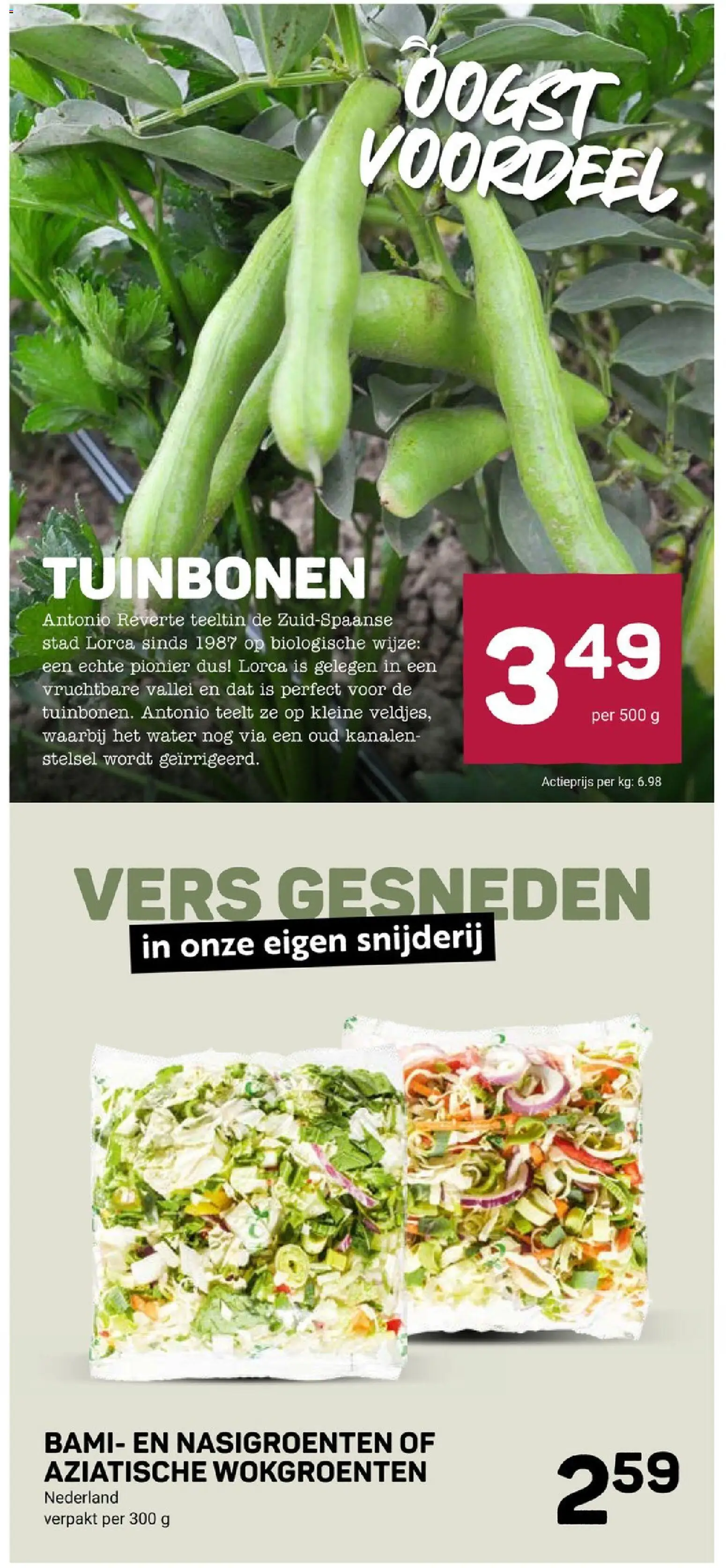 {H1} | Pagina: 9 | Producten: Festék