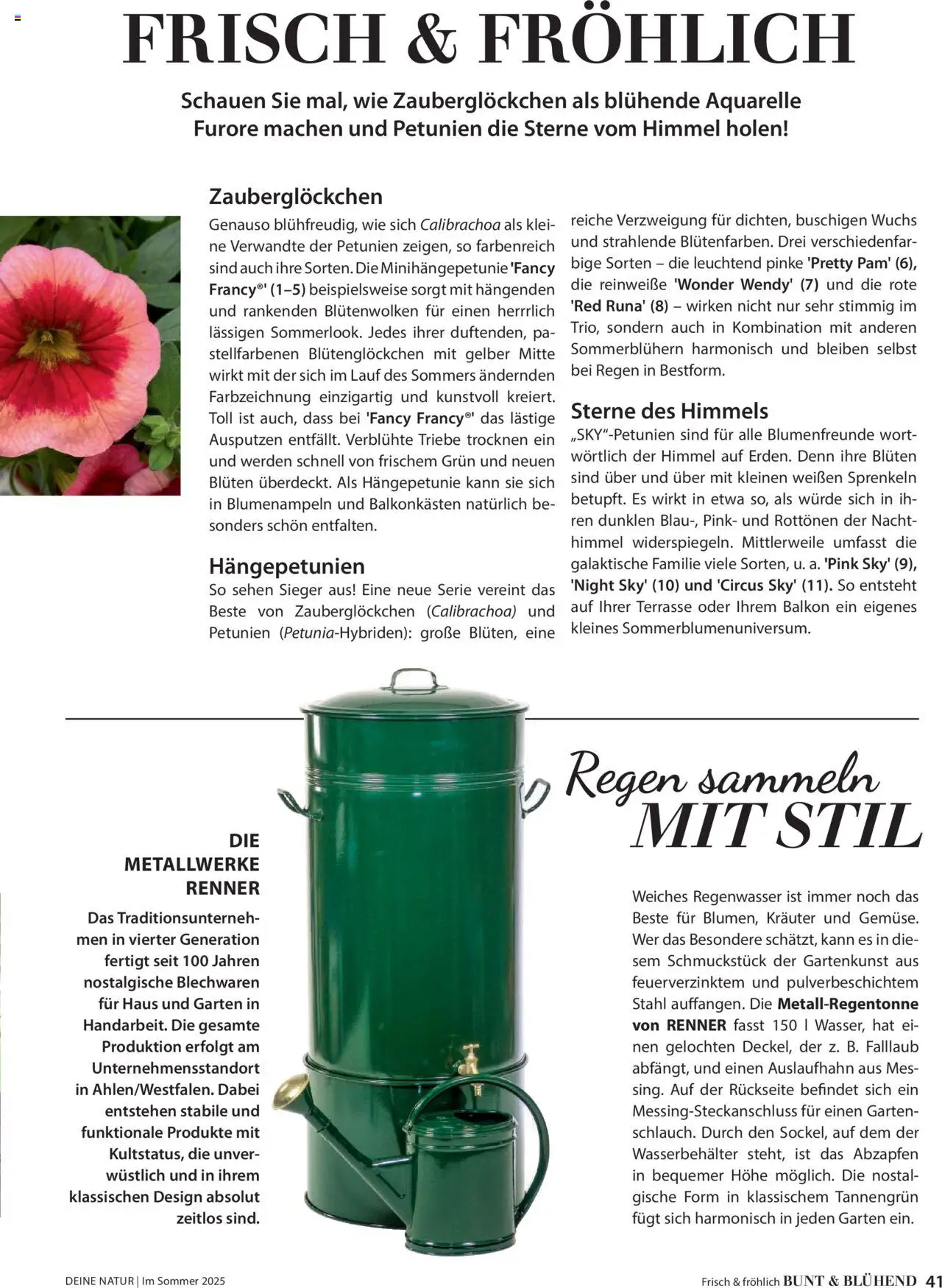 Dehner Prospekt - Deine Natur – gültig ab 23.04.2025 | Seite: 41