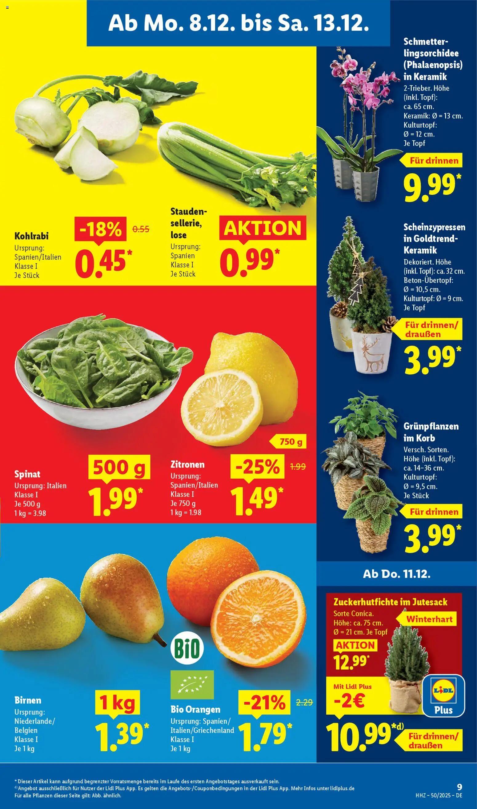 Lidl - Prospekt – gültig ab 08.12.2025 | Seite: 17 | Produkte: Korb, Kohlrabi, Orangen, Zitronen