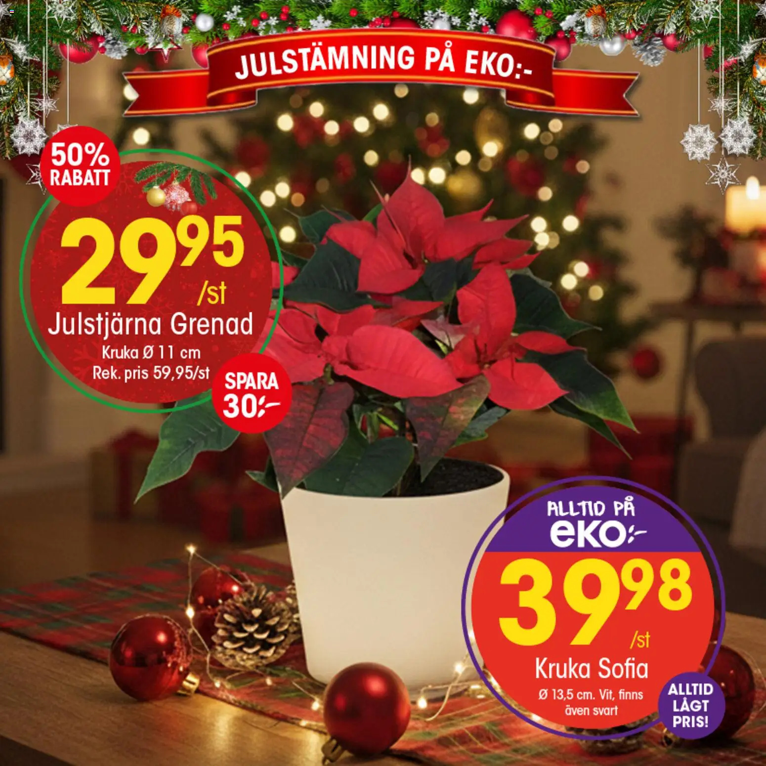 EKO reklamblad aktuell från 12.12.2025 | Sida: 8 | Produkter: Kruka