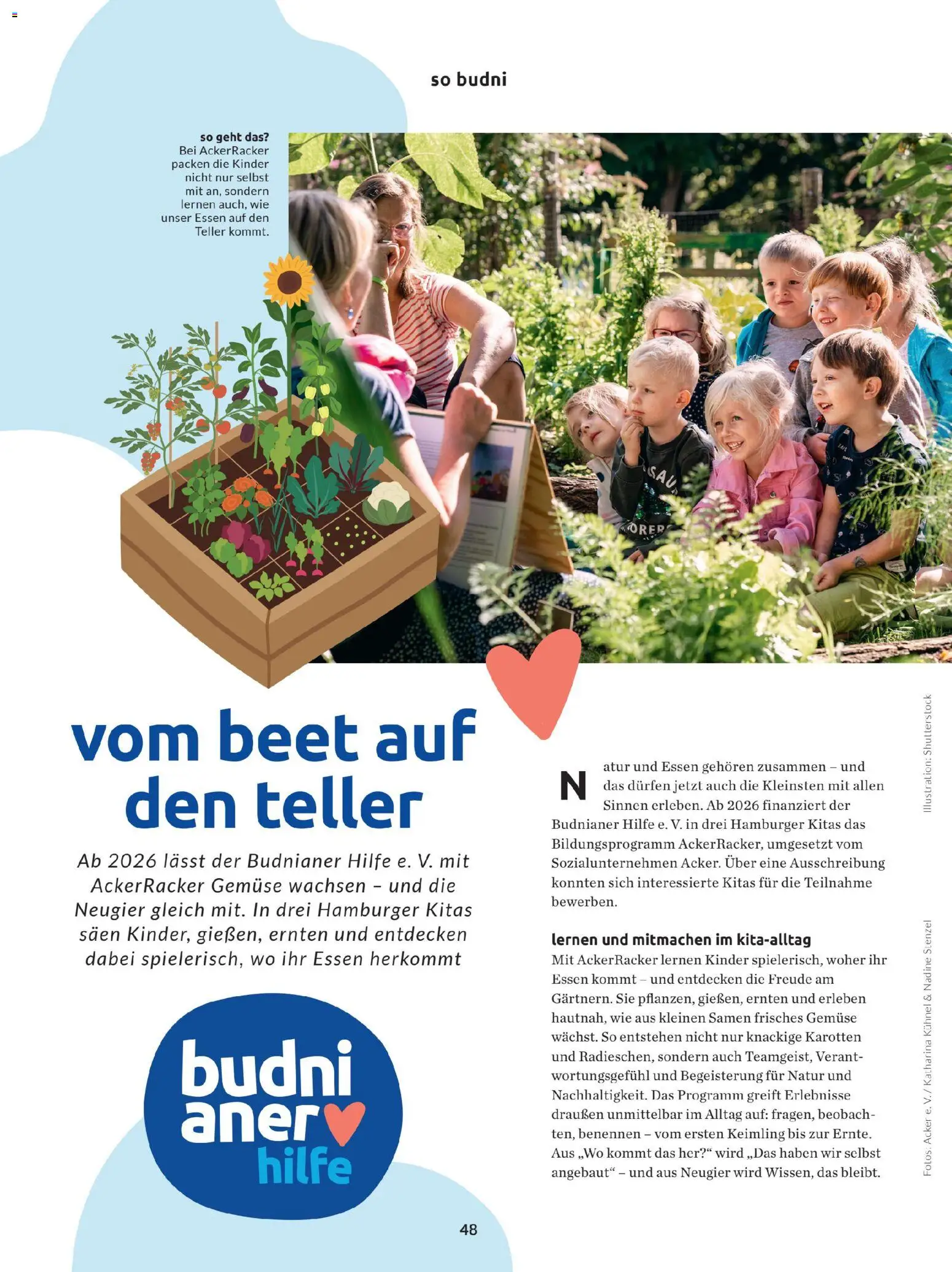 Budni Perle Magazin 01/26 – gültig ab 05.01.2026 | Seite: 48 | Produkte: Gemüse