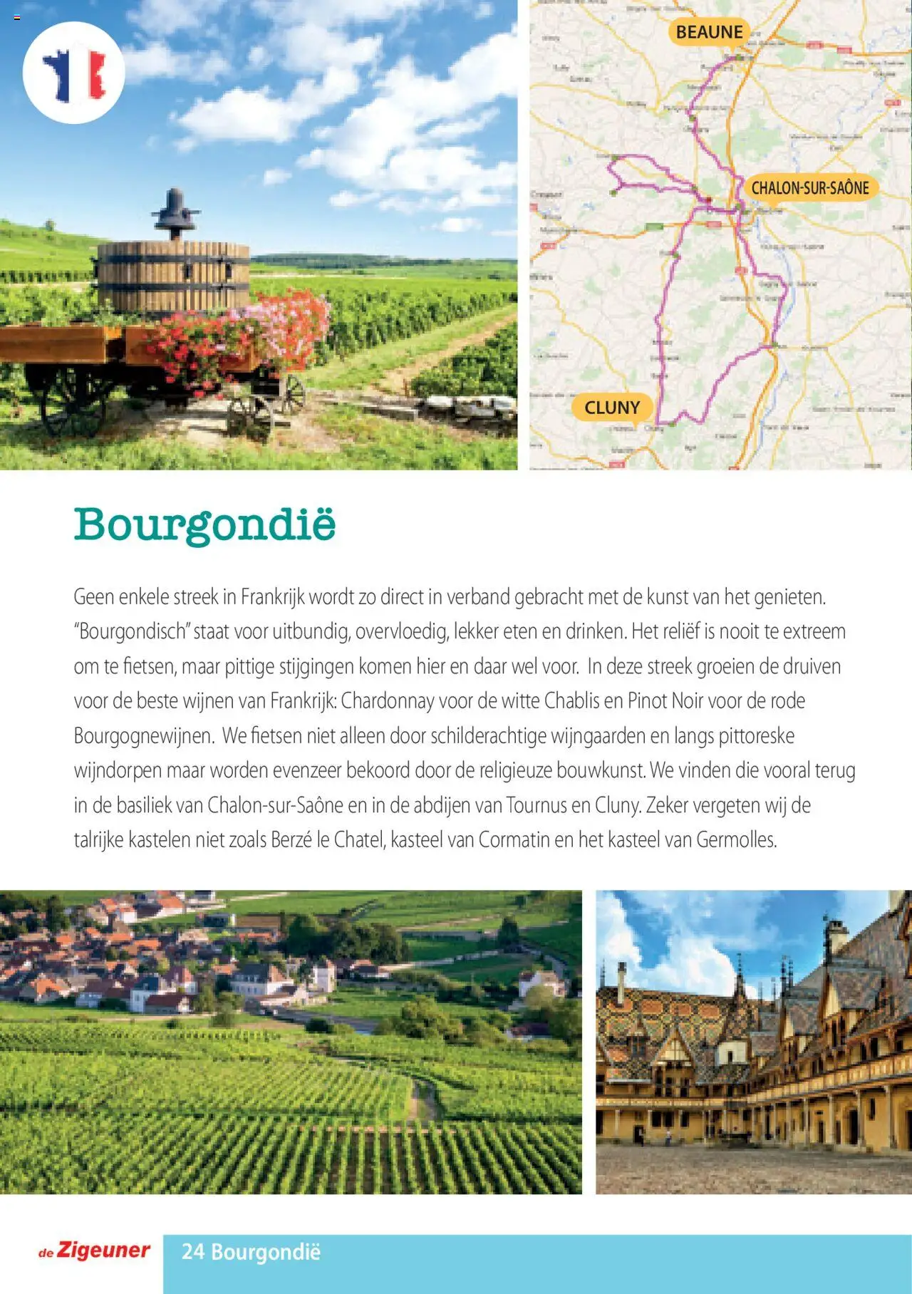  | Pagina: 24 | Producten: Druiven