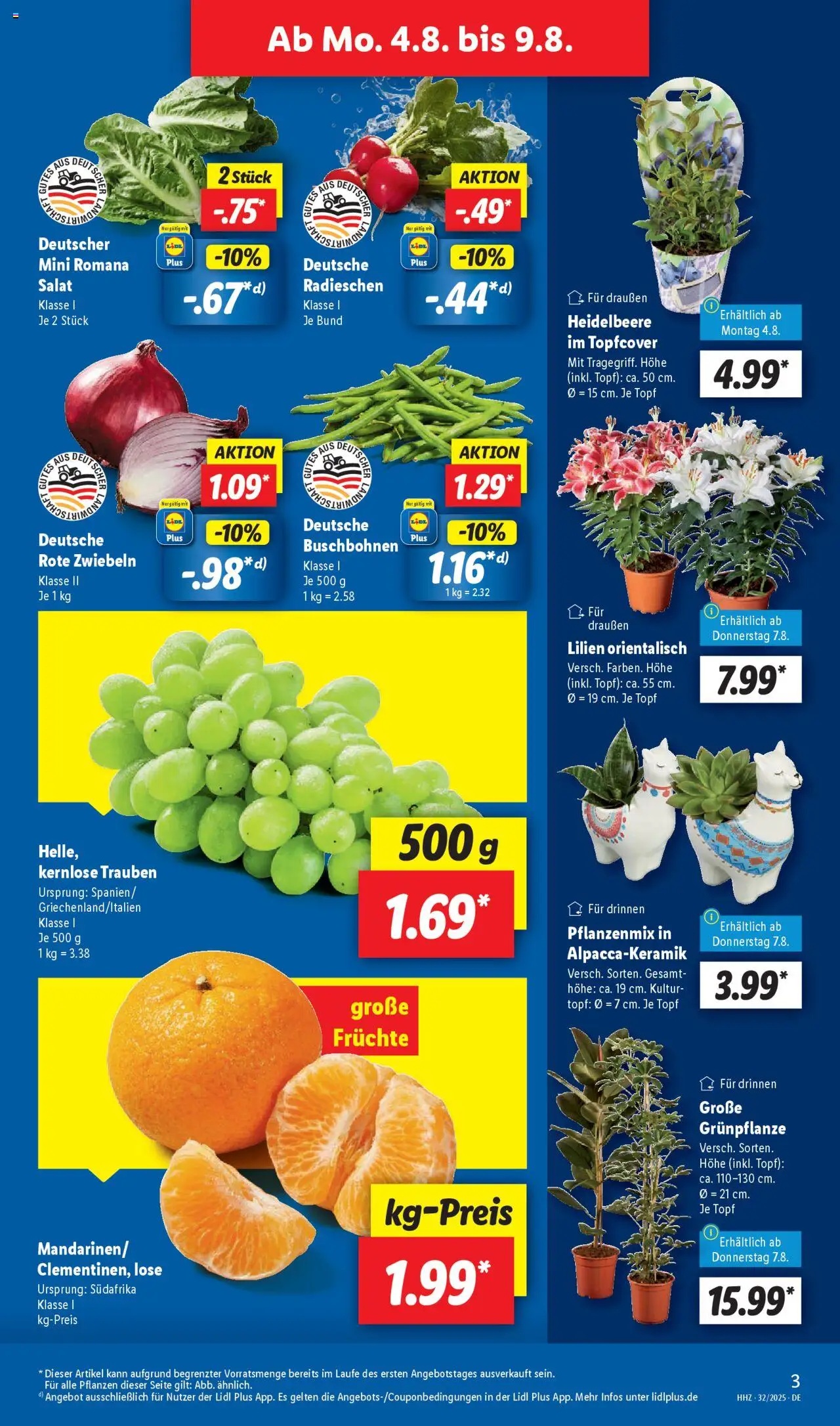 Lidl Prospekt Katzenelnbogen - gültig ab dem 04.08.2025 | Seite: 3 | Produkte: Trauben, Zwiebeln, Salat
