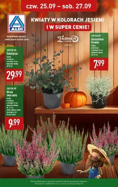 Pogląd oferty "Aldi Gazetka - Kwiaty w kolorach jesieni" - ważna od 25.09.2025